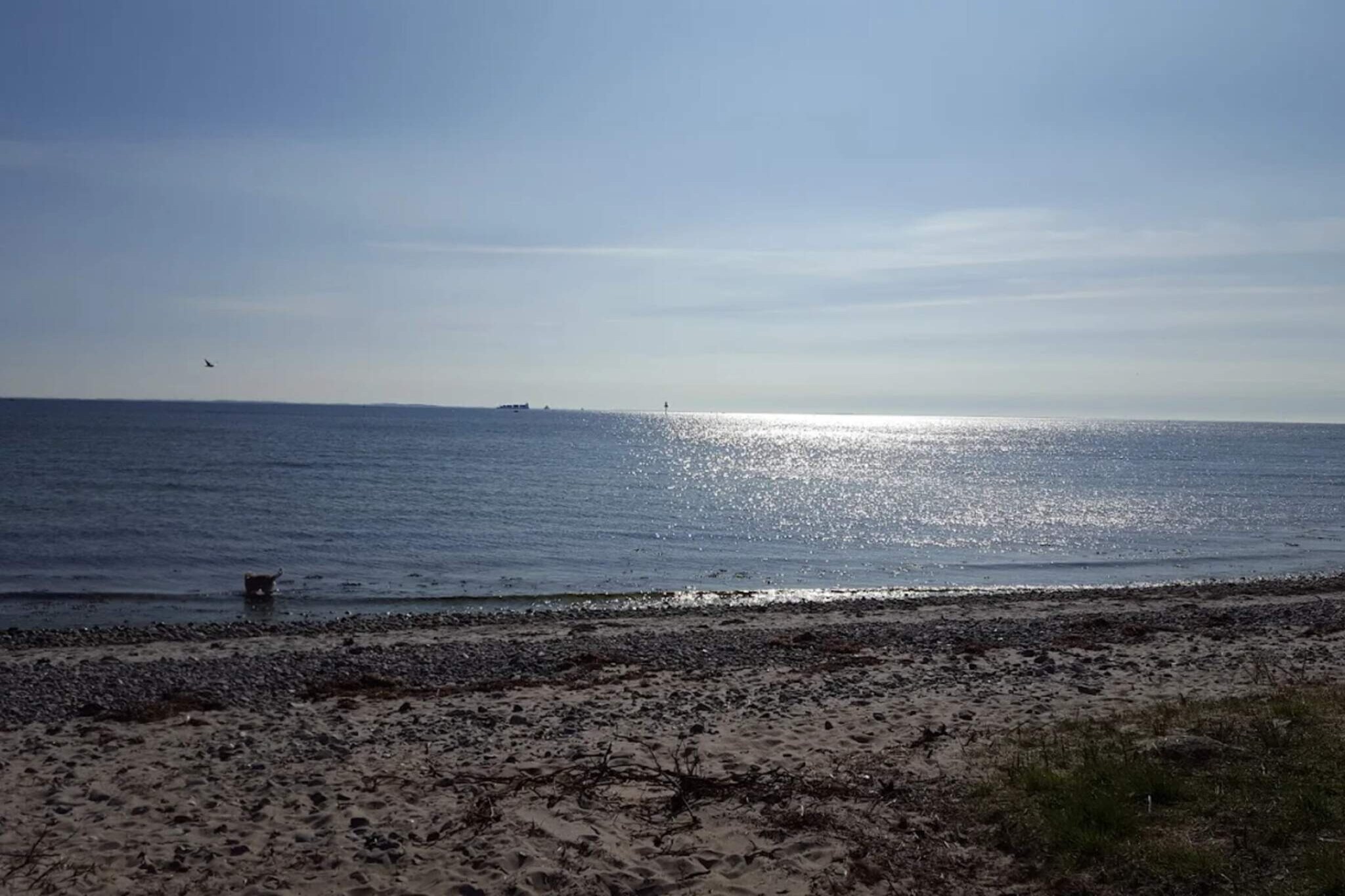 Vakantiehuis aan de kust met spa en sauna - Waterzicht