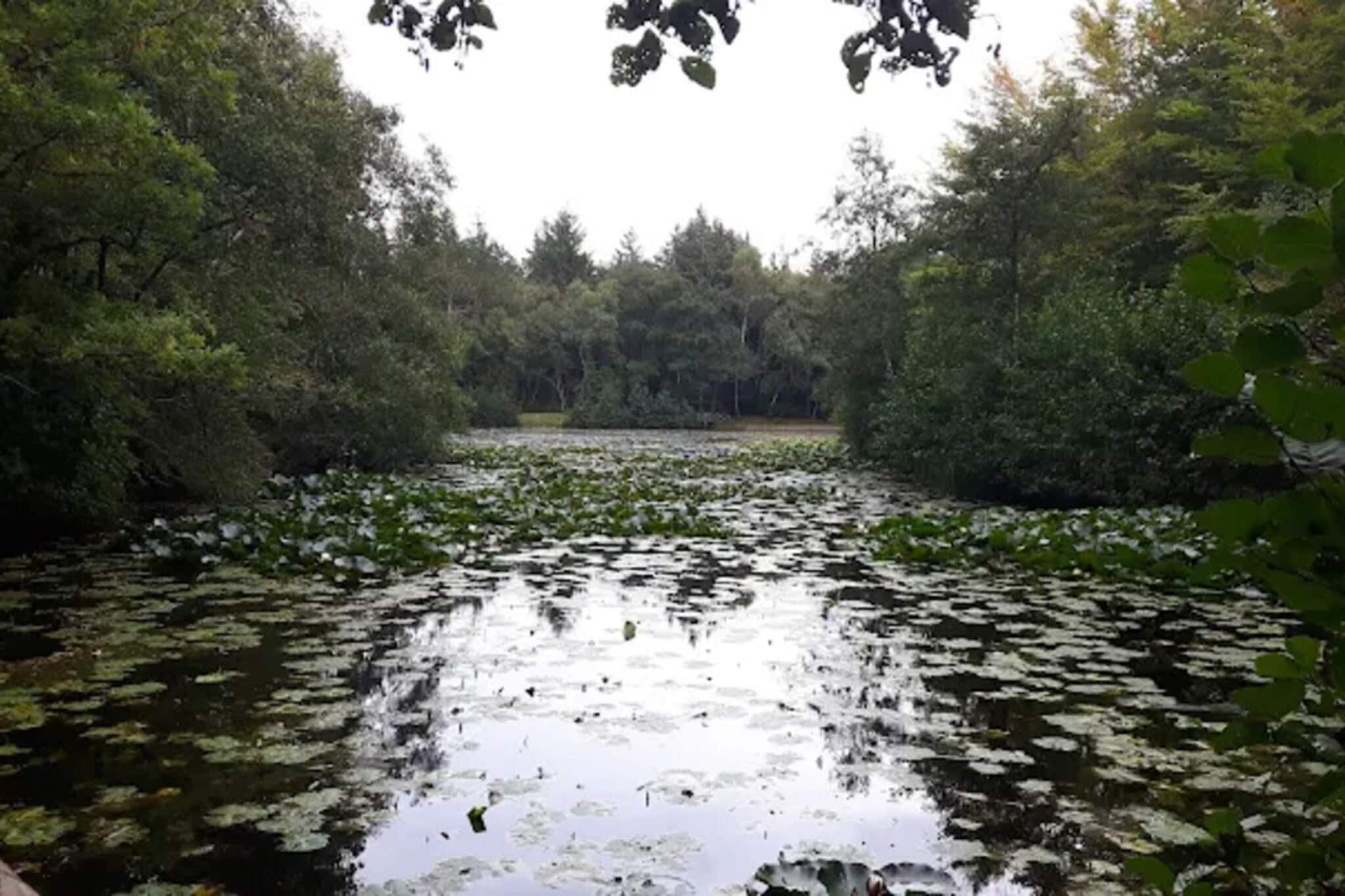 5 persoons vakantie huis in Ålbæk-By Traum-Waterzicht