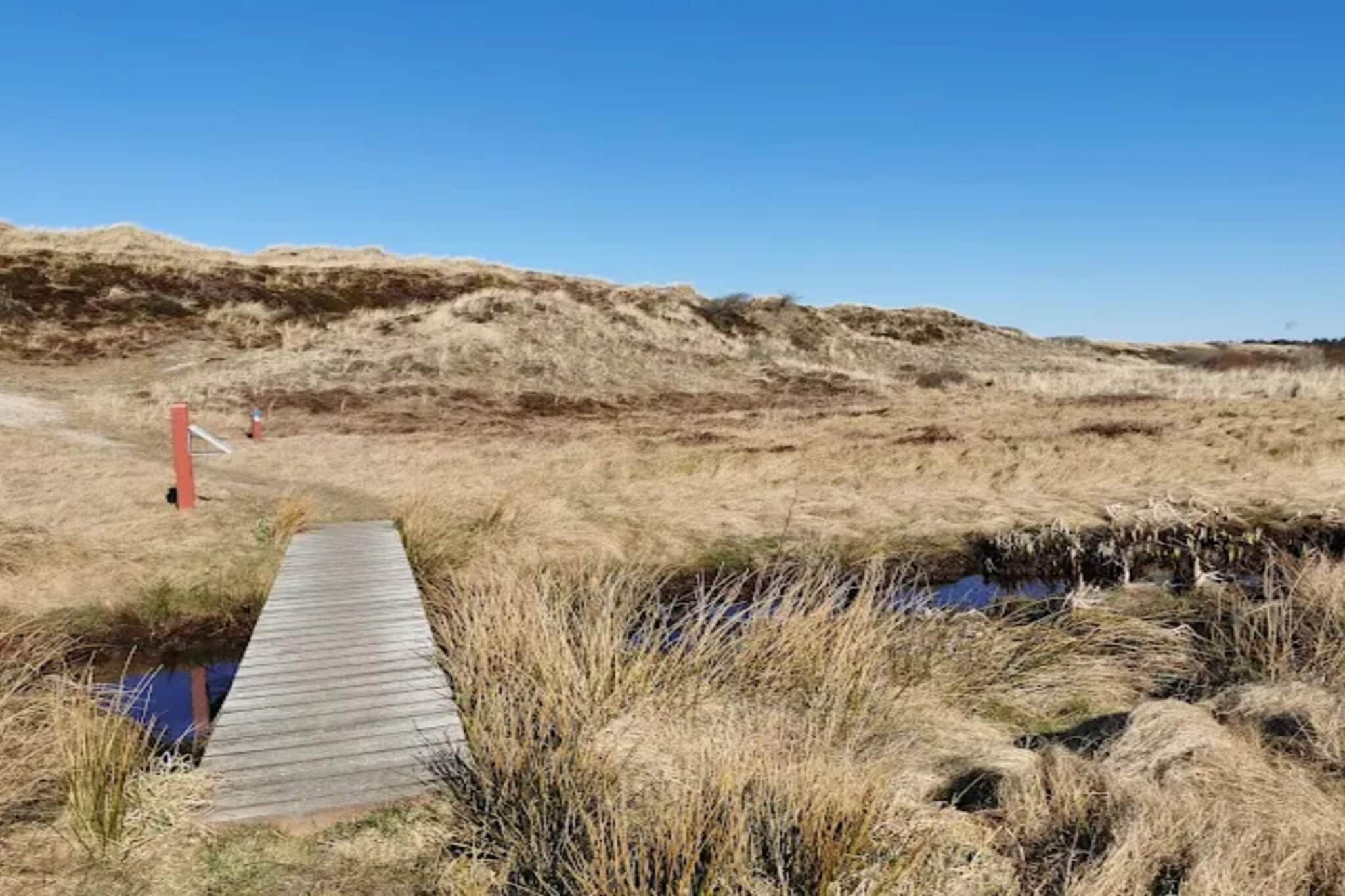 5 persoons vakantiehuis in Ålbæk - Niet-getagd