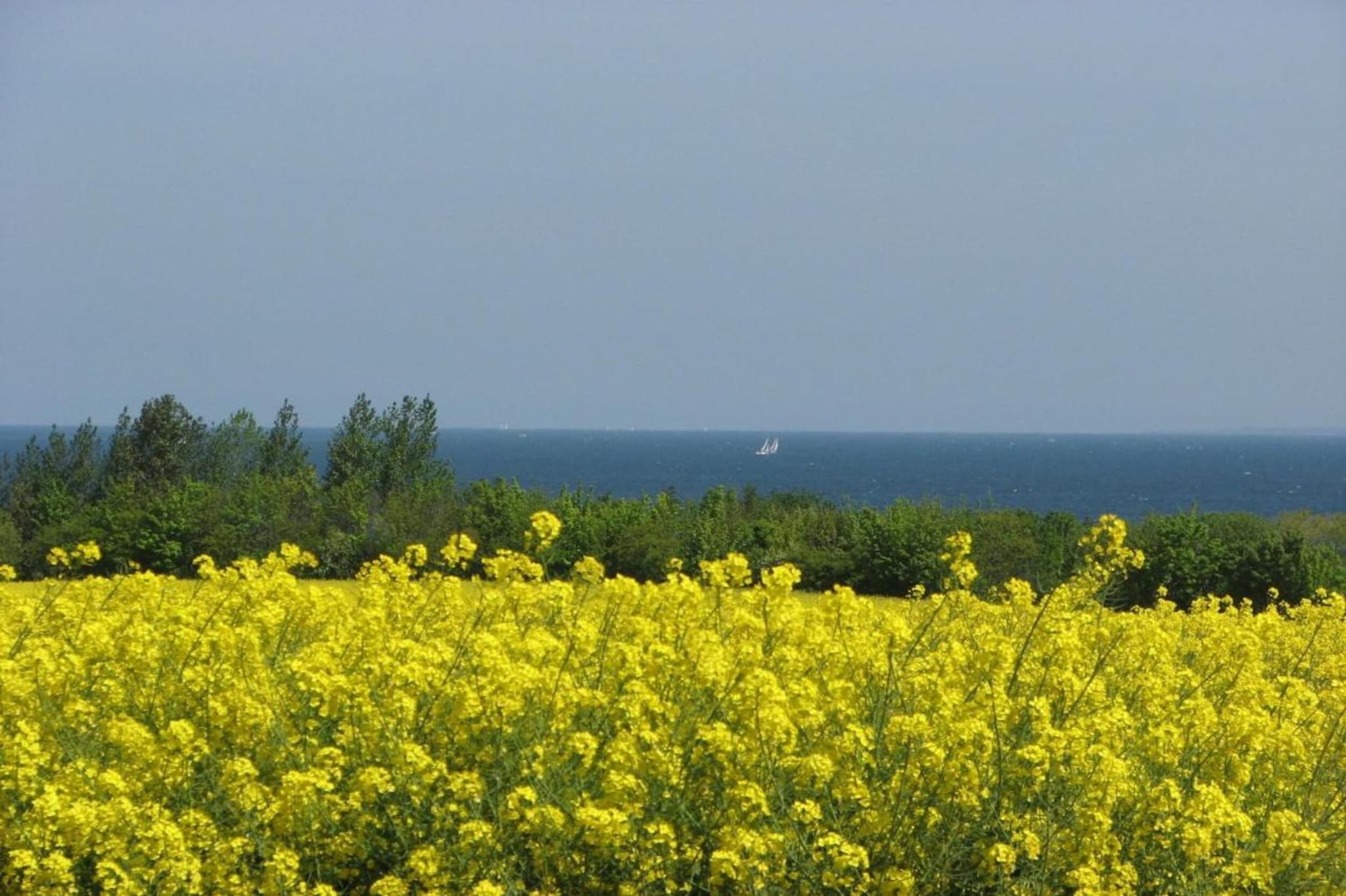 Bungalowanlage Gänseblümchen 6-Zones d'été à 5 km