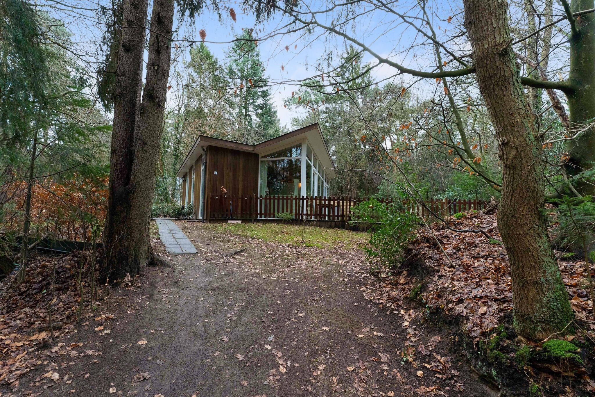 Idyllisch gelegen boshuis in Norg met sauna