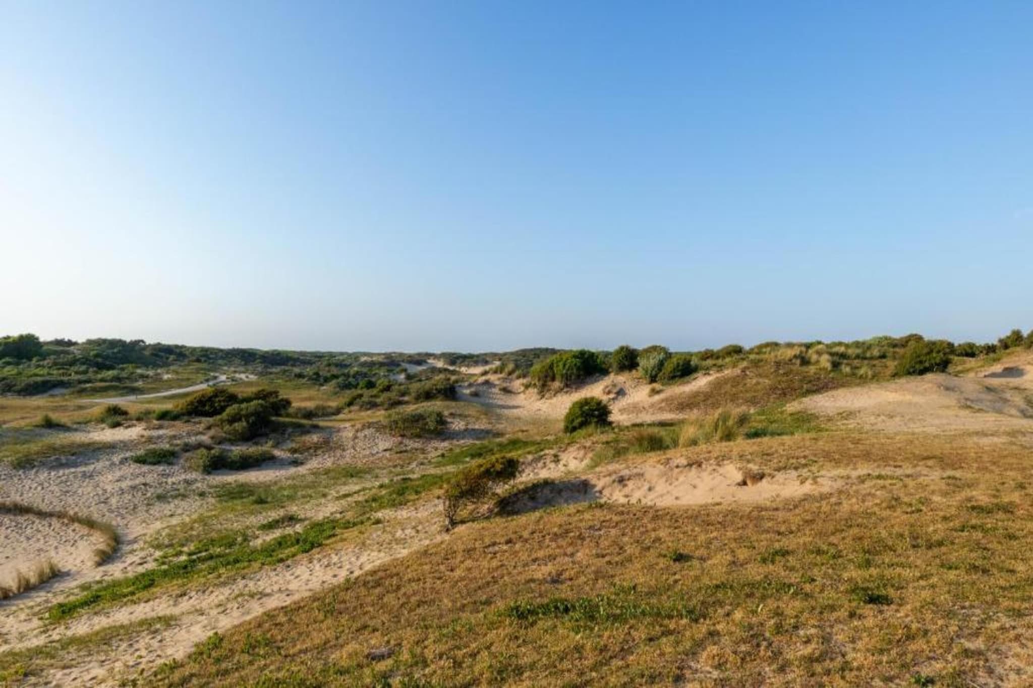 Bungalowpark 't Lappennest 4-Gebieden zomer 20km