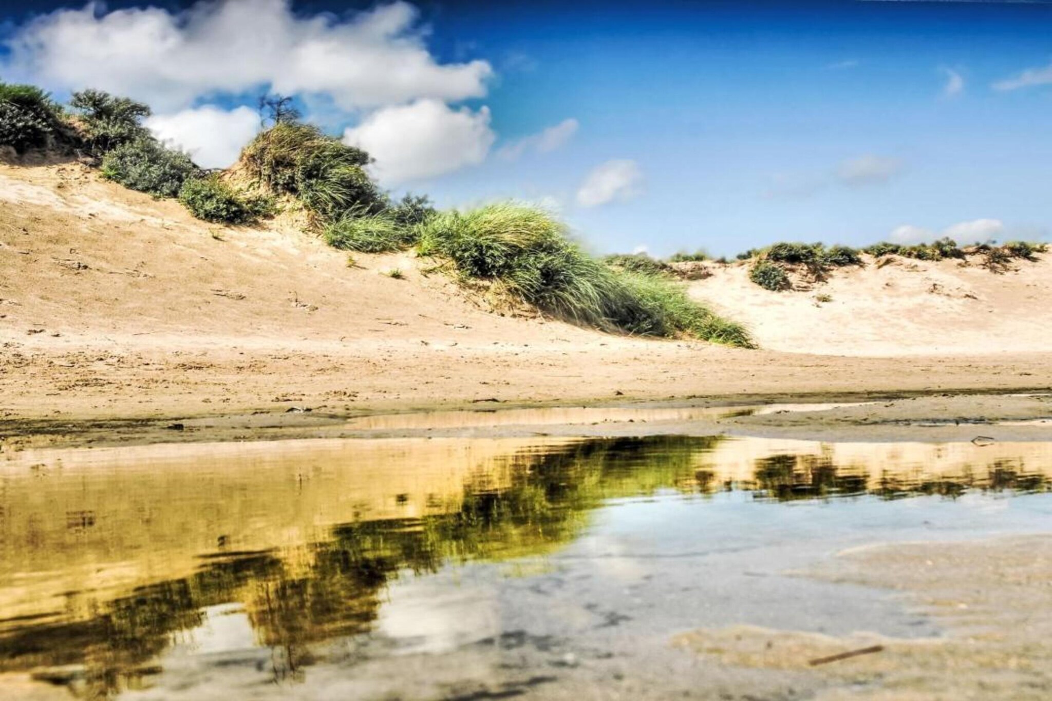 Bungalowpark 't Lappennest 4-Gebieden zomer 5km