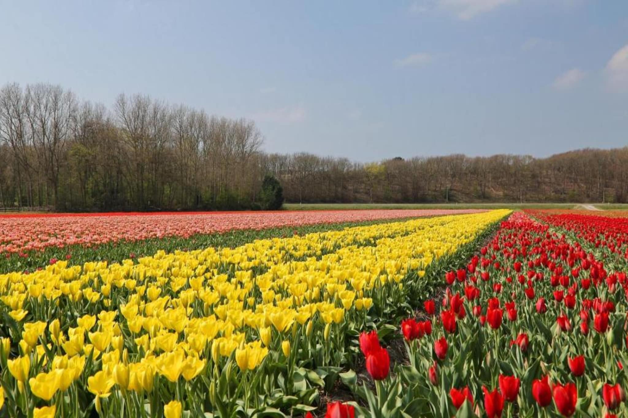Bungalowpark 't Lappennest 4-Gebieden zomer 20km