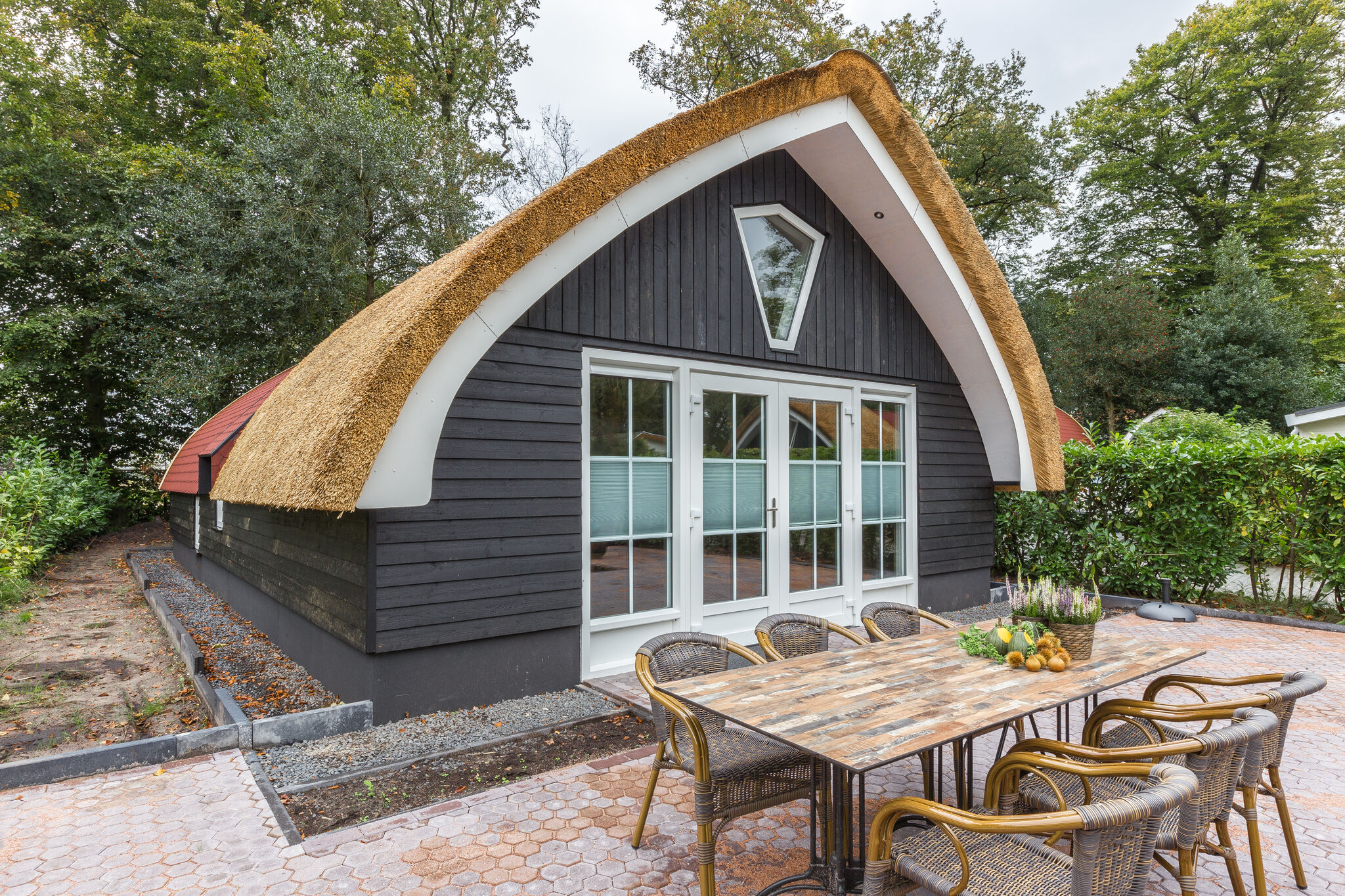 Beautiful cottage for large groups in Overijssel