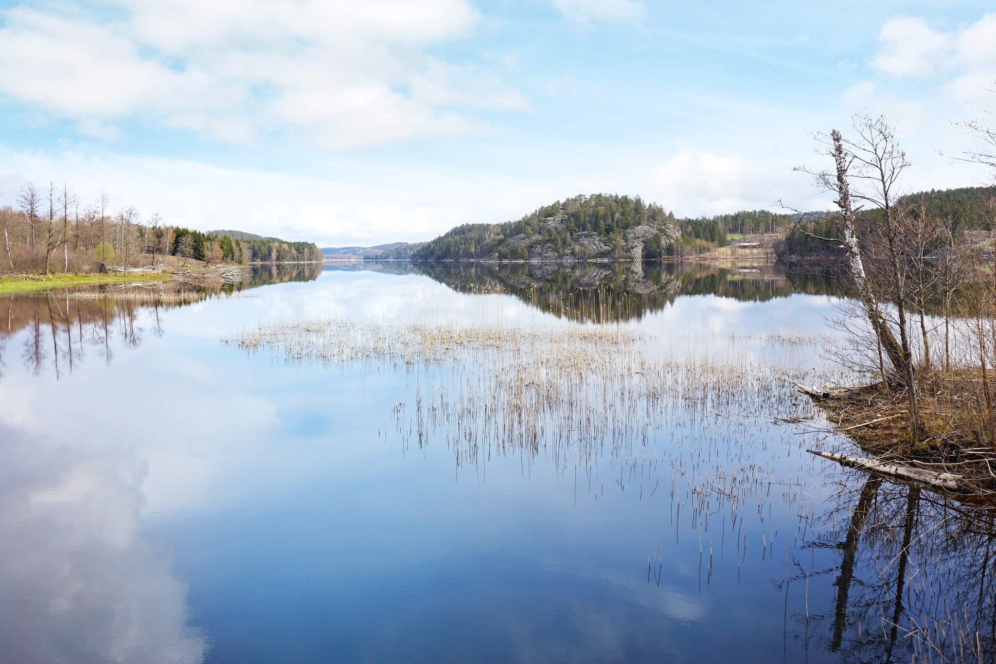 Maison de vacances pour 4 a HÄLLEVADSHOLM-By Traum - Vue sur l'eau