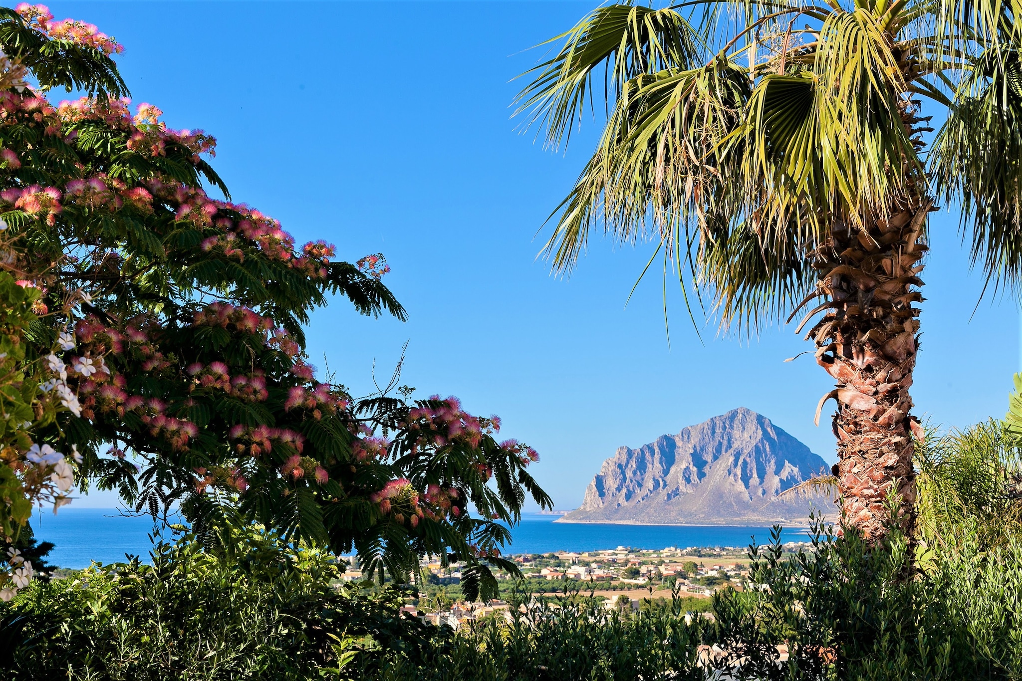Villa Le Palme Nove - Areas within 20km in summer