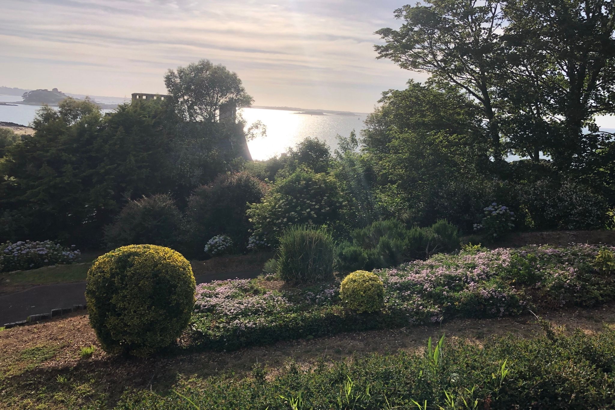 View Summer