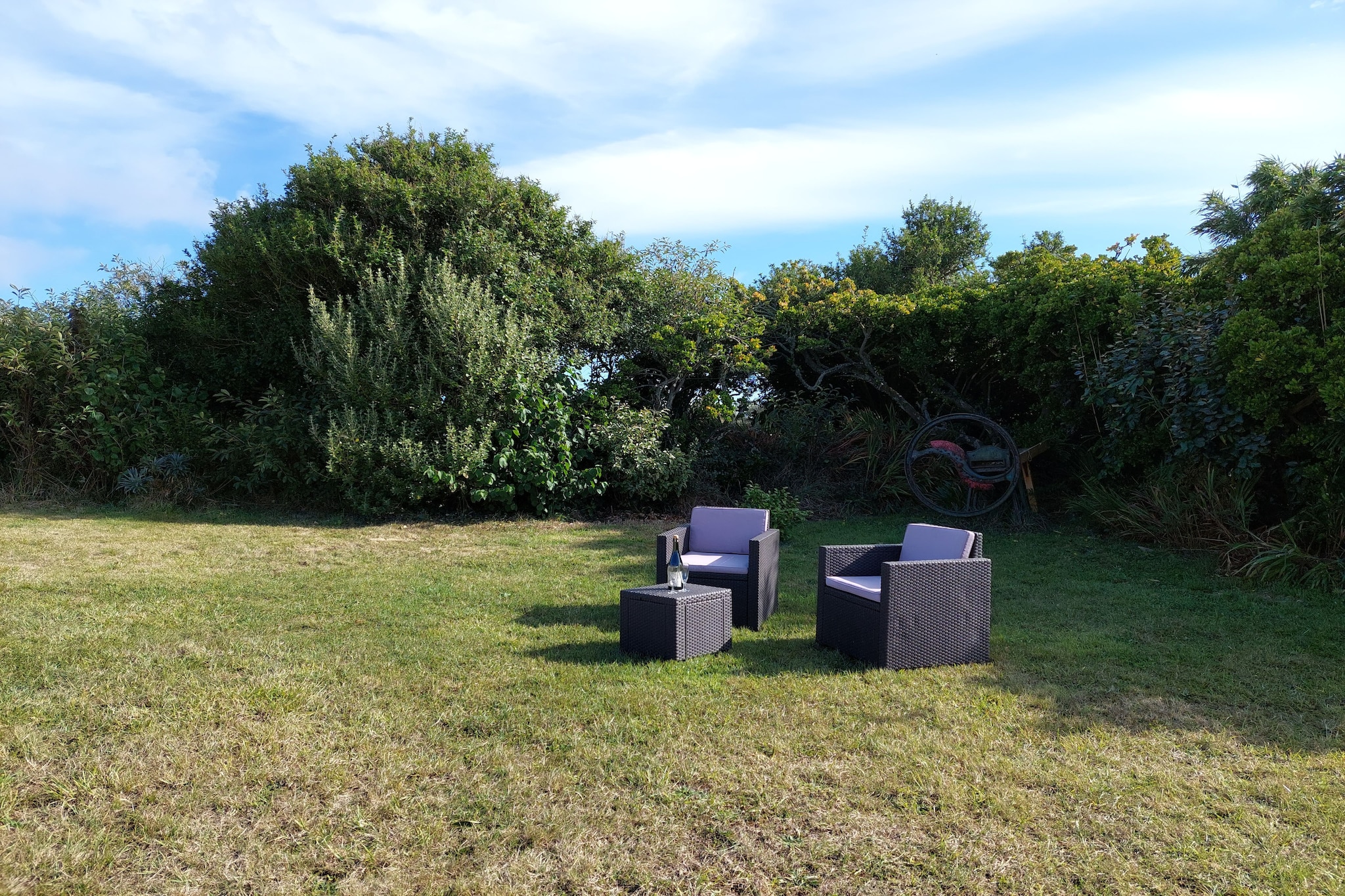 Garden Summer