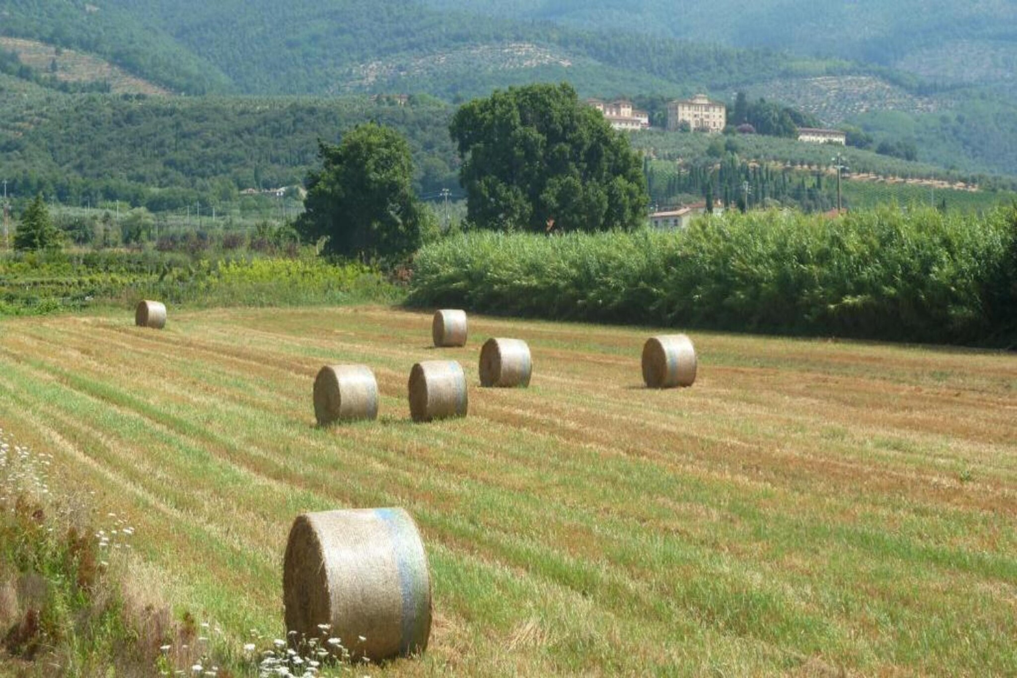 Saliceto Bilocale-Gebieden zomer 20km
