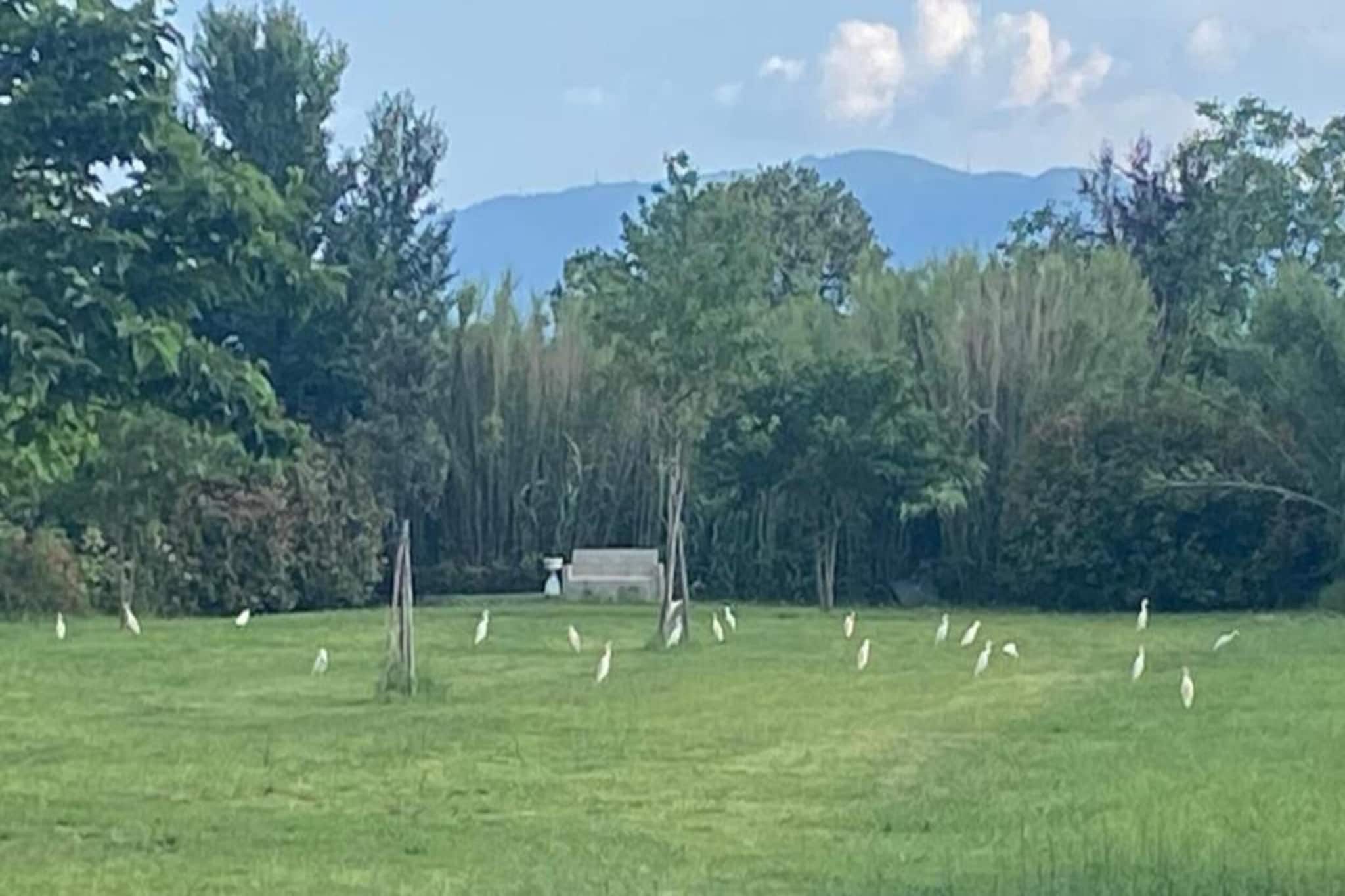 Saliceto Bilocale-Gebieden zomer 20km