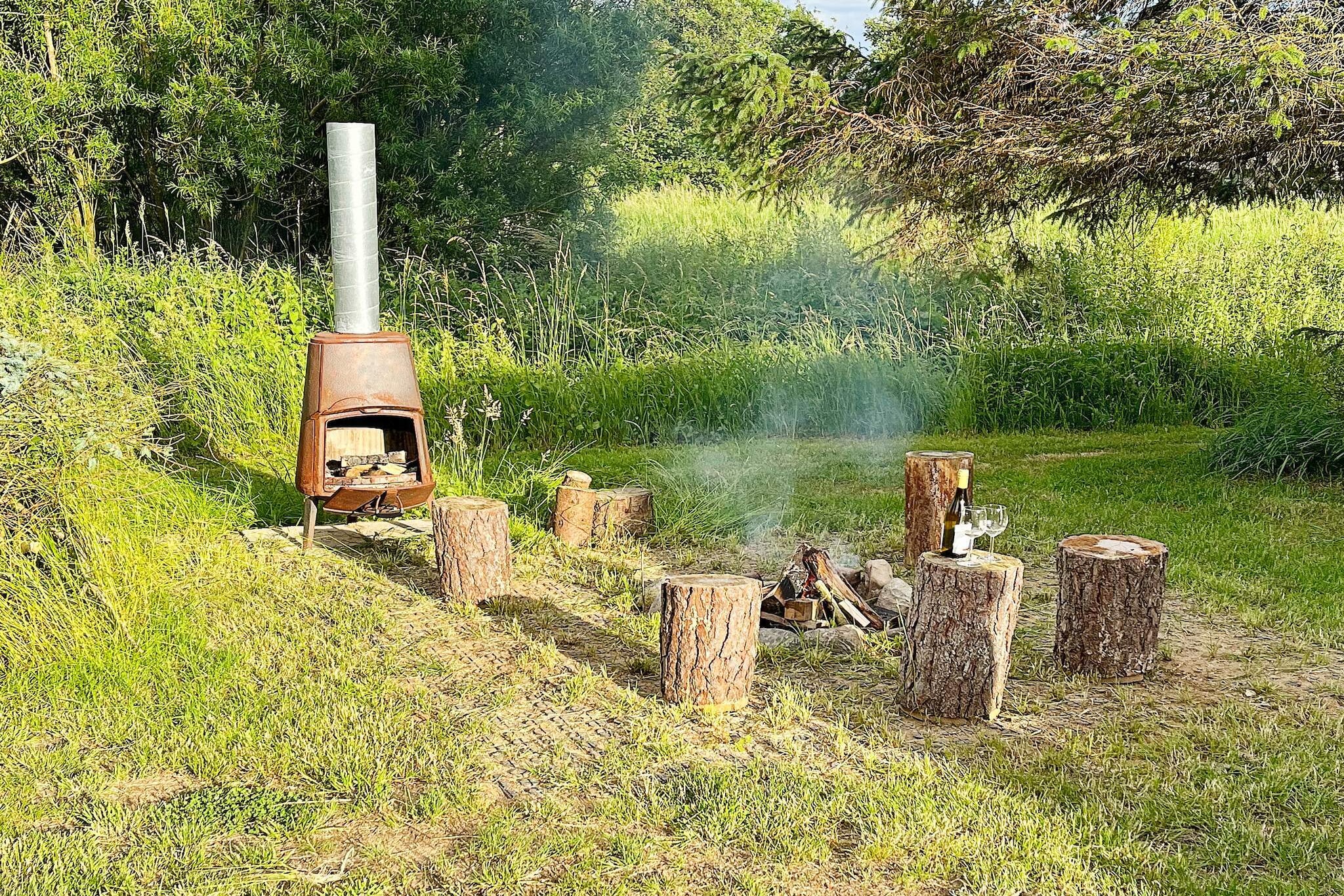 10 persoons vakantie huis in Vinderup-By Traum - Buitenlucht