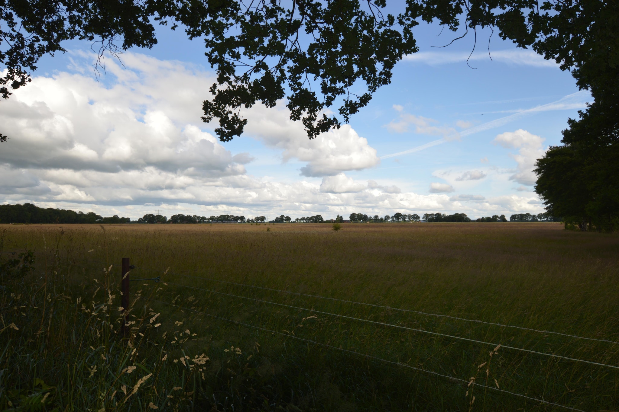 View Summer