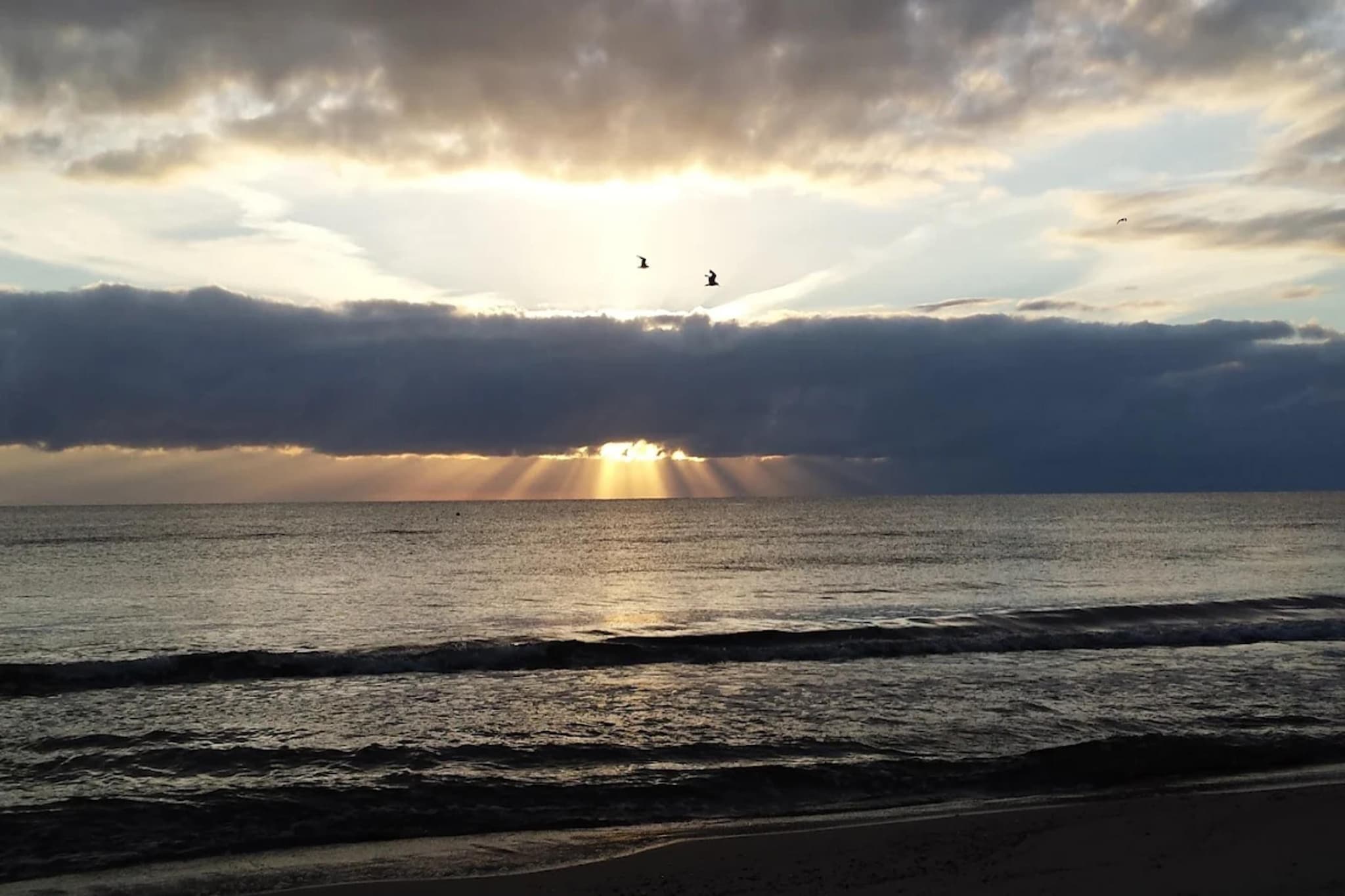 Im EG 50 qm / links-Gebieden zomer 1km