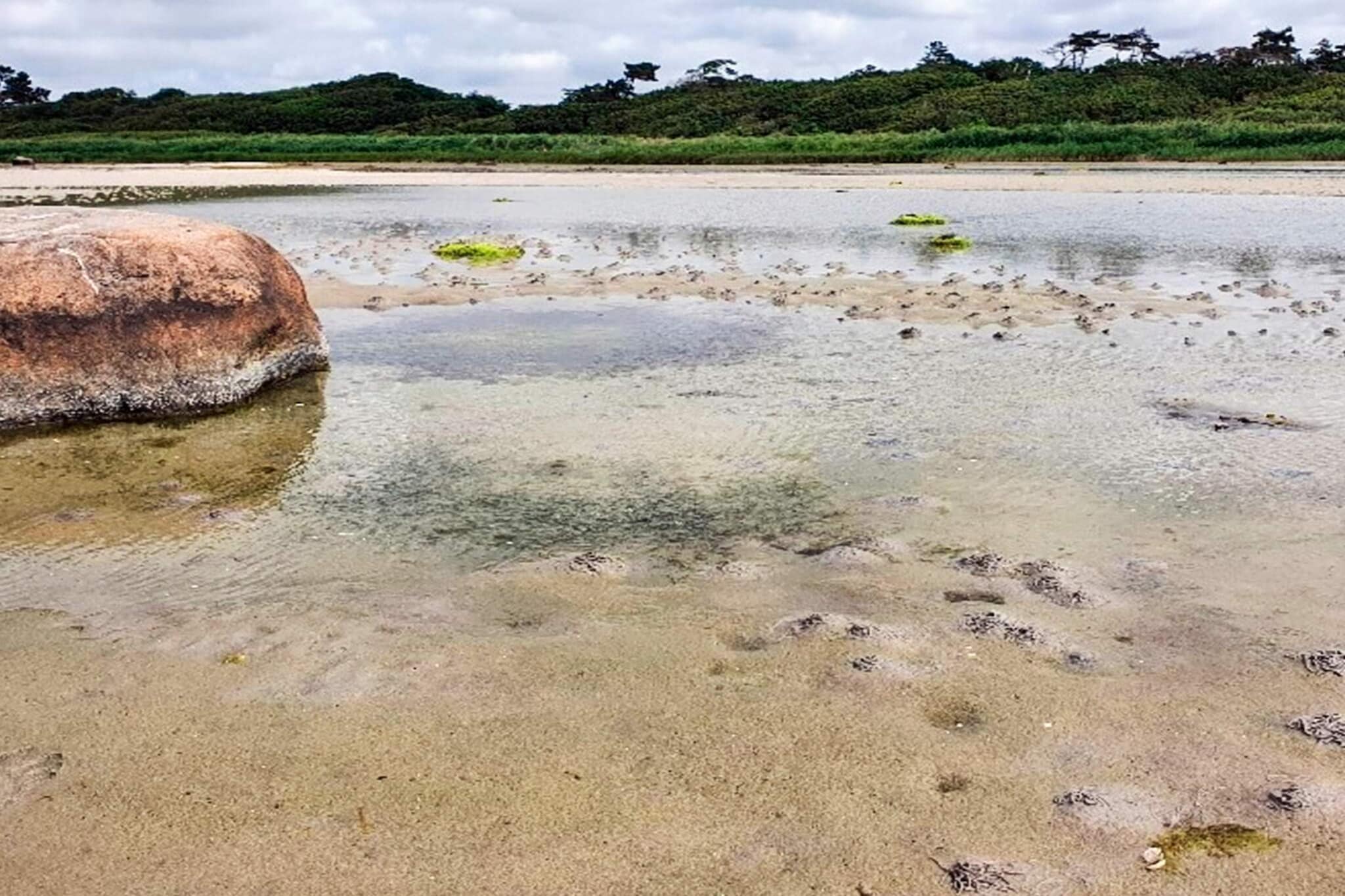Maison de vacances pour 6 a Jægerspris-By Traum - Vue sur l'eau