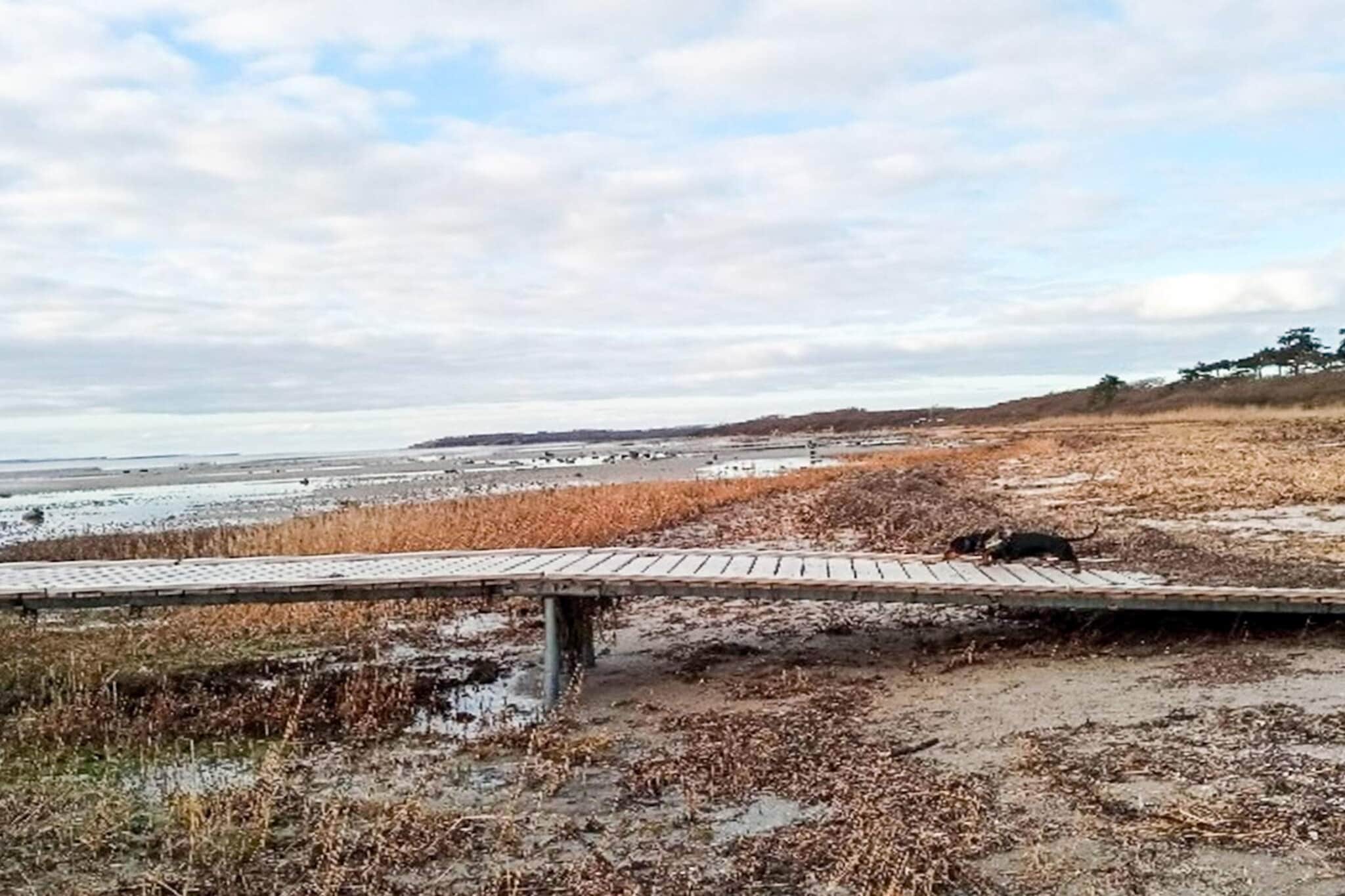 Maison de vacances pour 6 a Jægerspris-By Traum - Vue sur l'eau