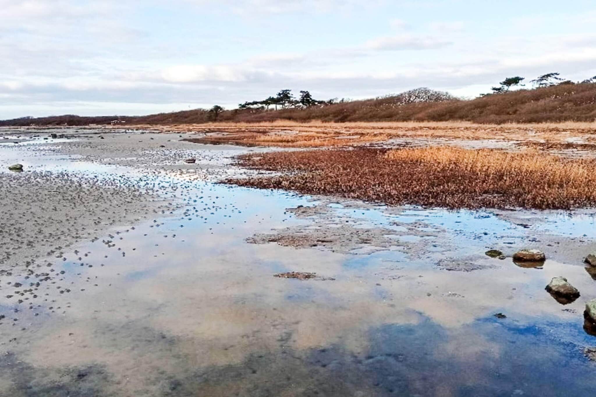 Maison de vacances pour 6 a Jægerspris-By Traum - Vue sur l'eau