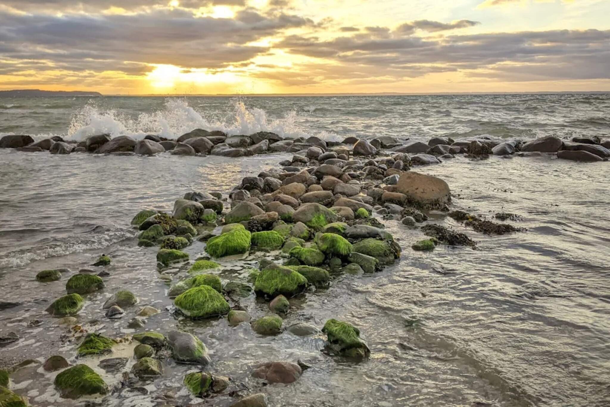 10 persoons vakantie huis in Bogense-By Traum - Waterzicht