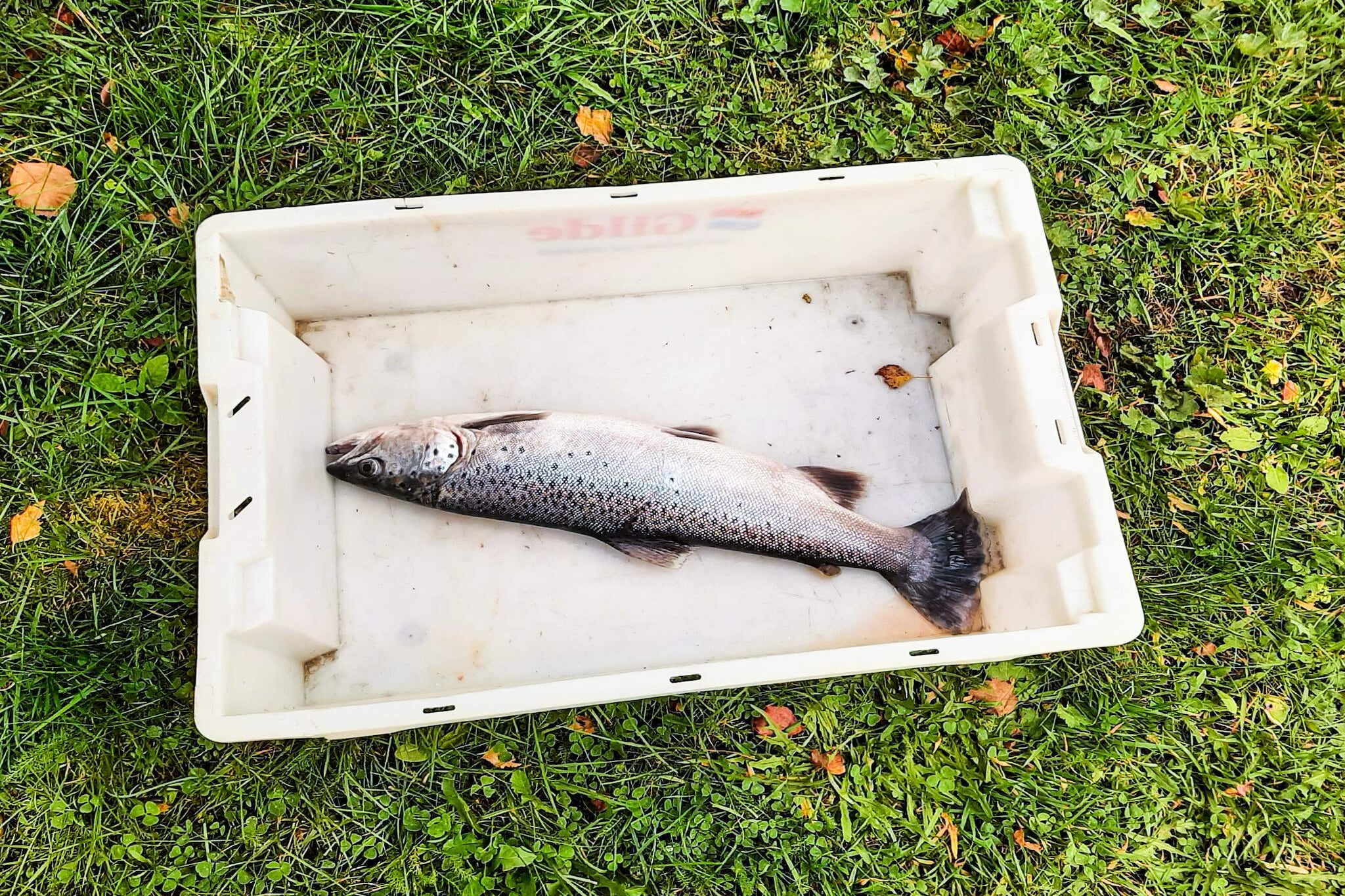 6 person holiday home in olden-By Traum-Untagged