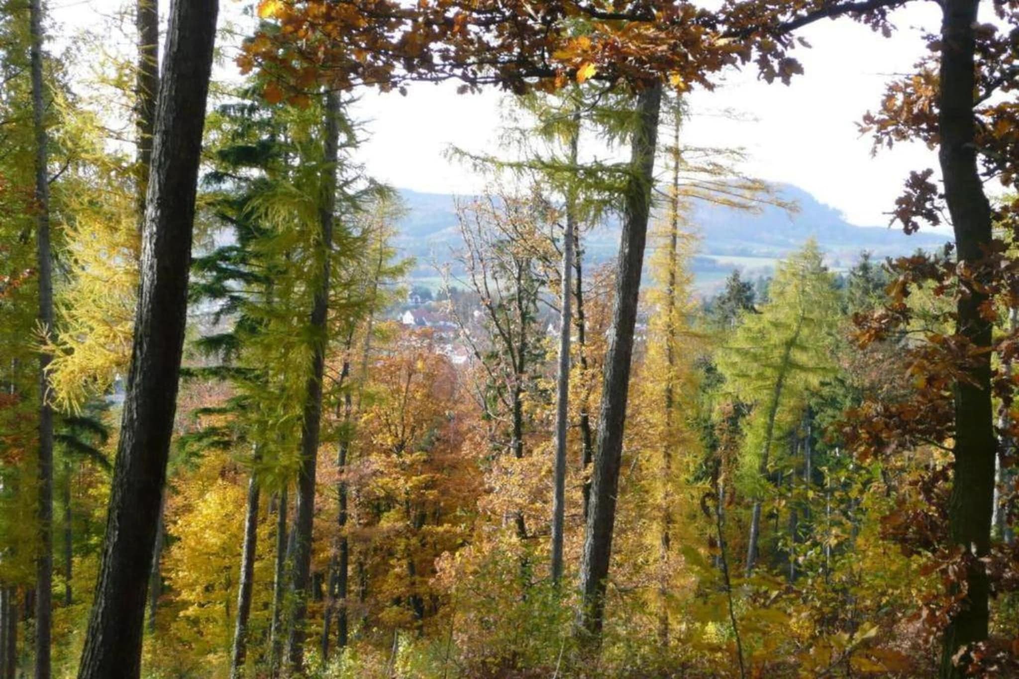 Ferienwohnung Apelt-Gebiete Sommer 5 km