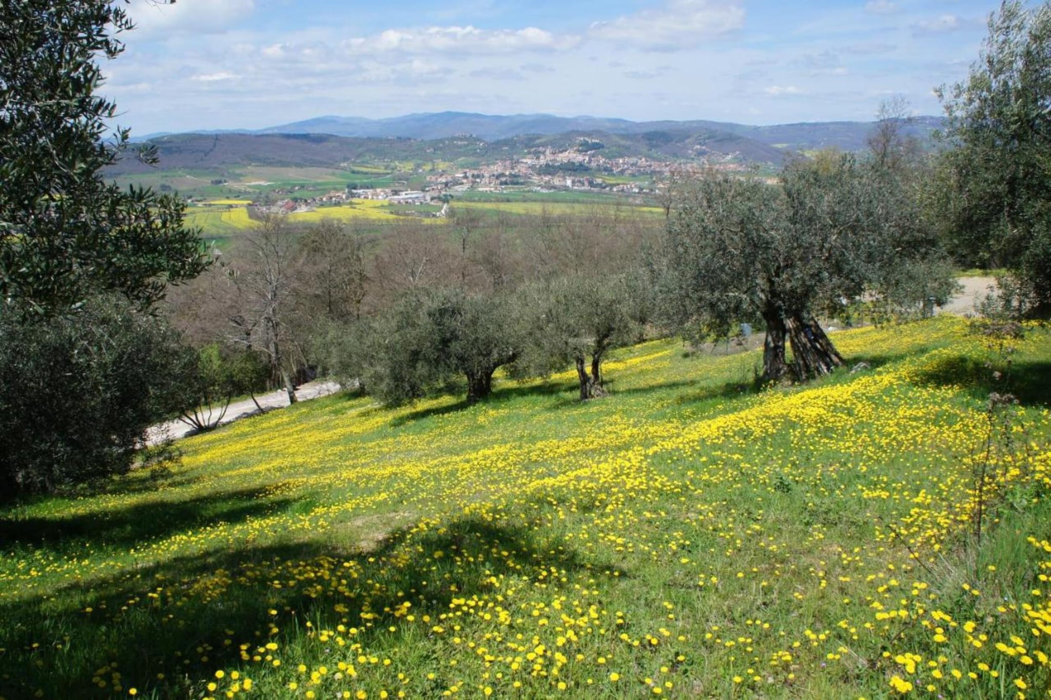 San Giovanni-Gebieden zomer 20km