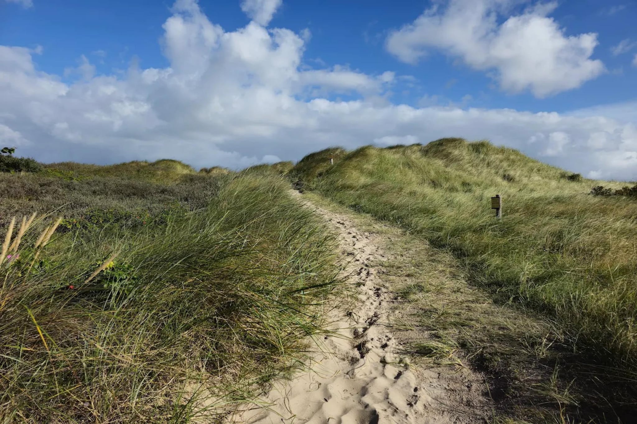 Ferienwohnung 7/39-Gebieden zomer 5km