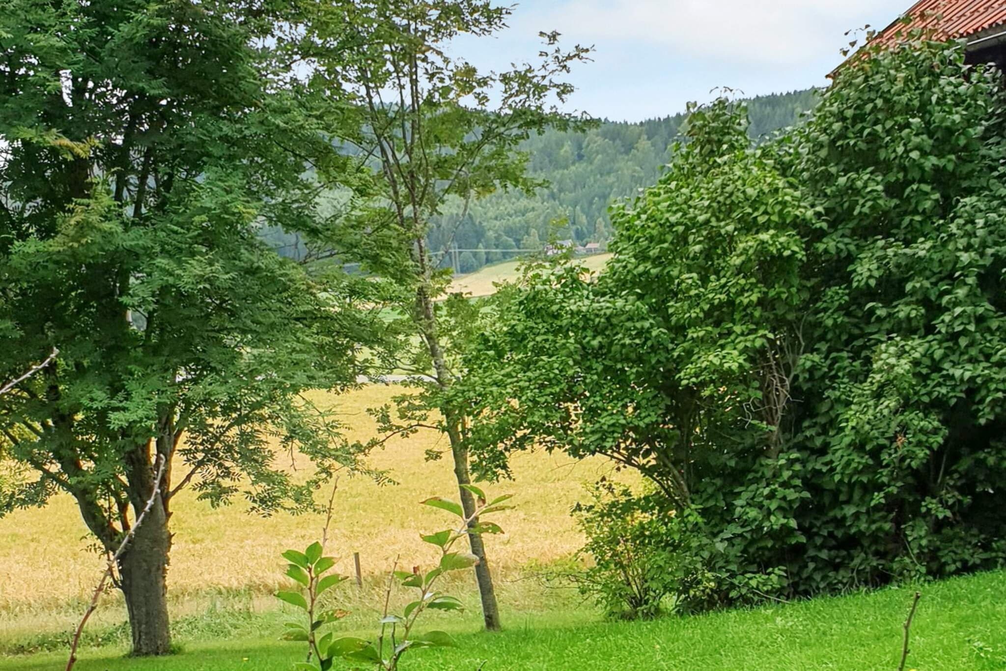 Outdoor