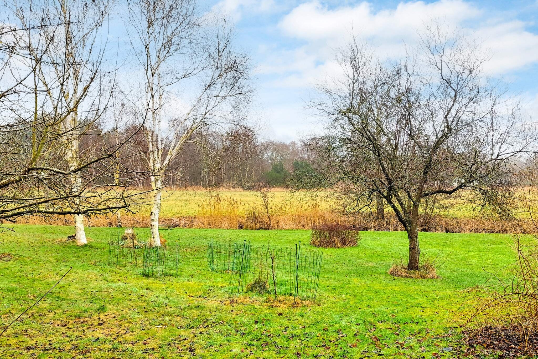 8 persoons vakantie huis in Vejby-Buitenlucht