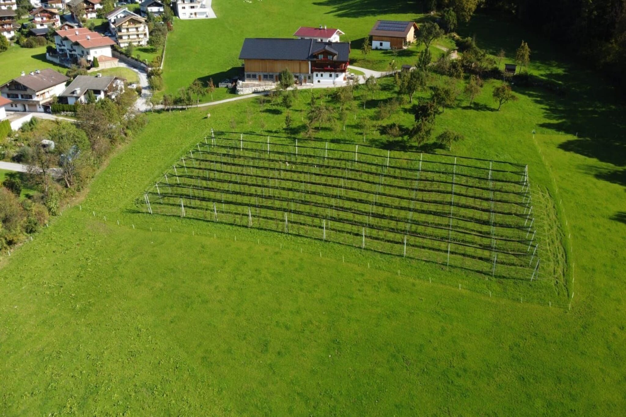 Steinachhof - Uitzicht zomer