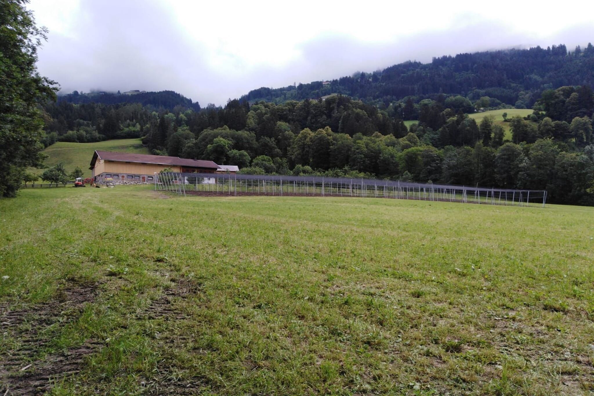Steinachhof - Gebieden zomer 1km