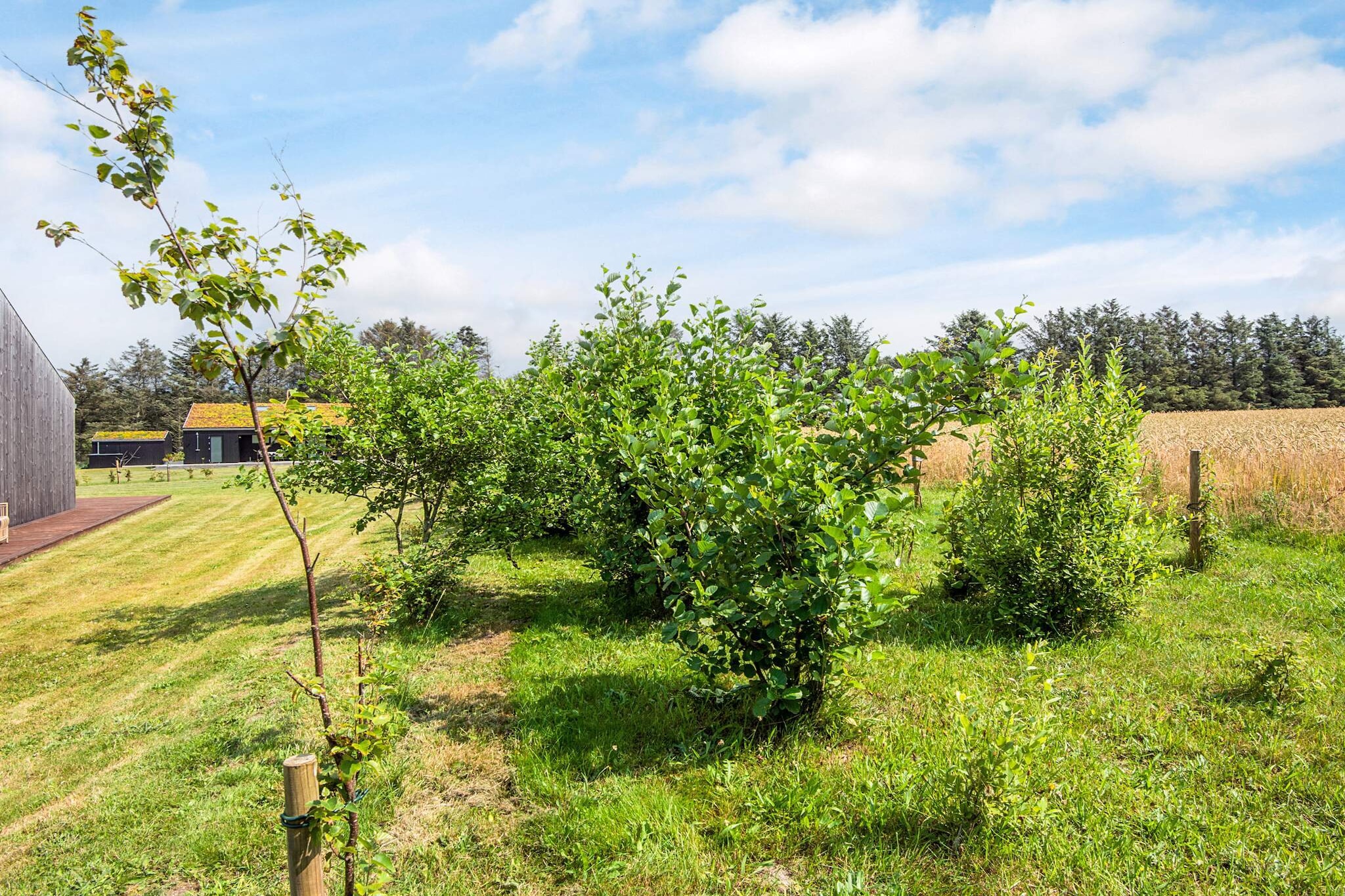 8 persoons vakantie huis in Saltum-By Traum - Uitzicht
