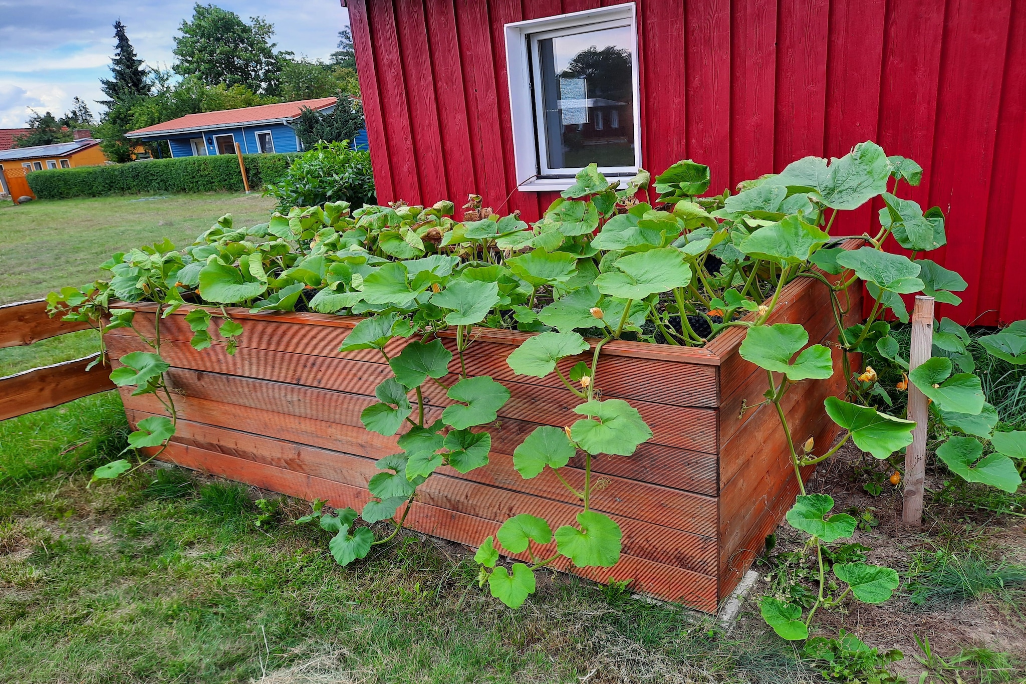 Apartment 3 Rochowsee-Gardens summer