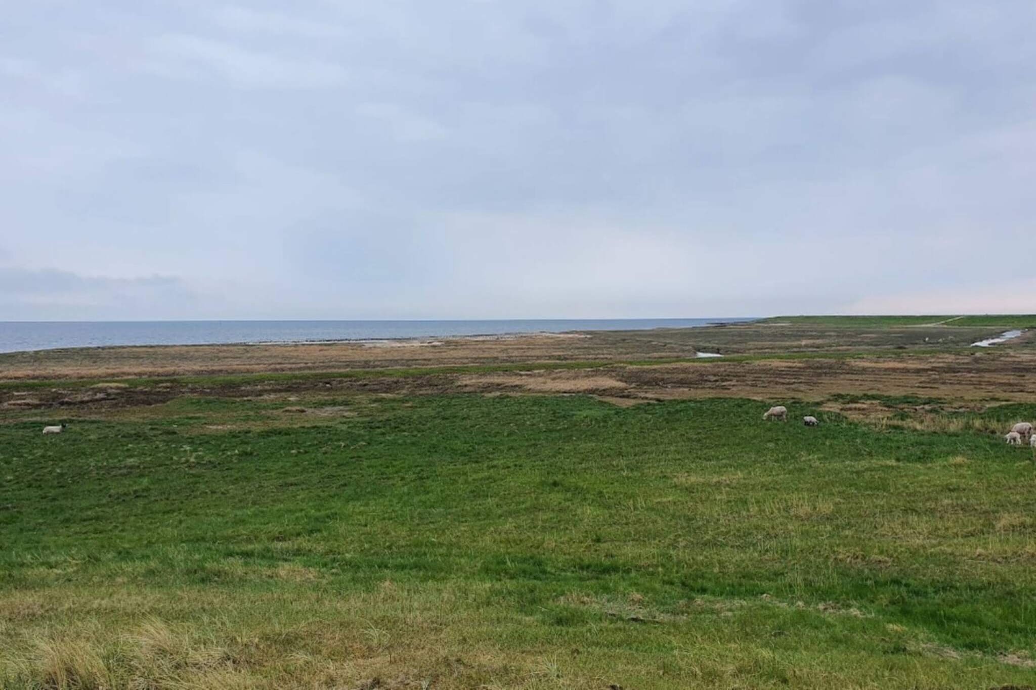 6 persoons vakantie huis in Rømø-By Traum - Waterzicht
