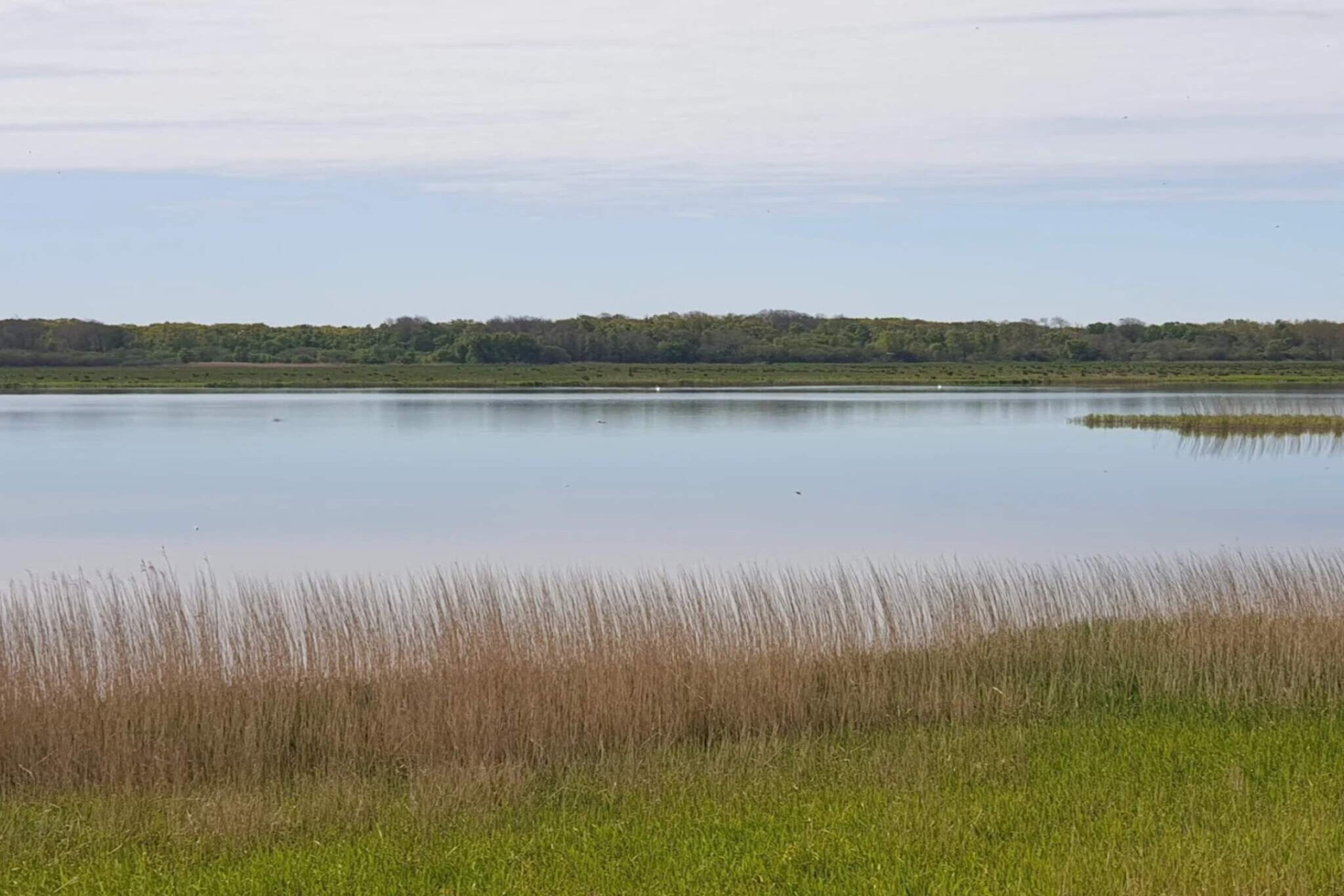 8 Personen Ferienhaus in Løgstør-By Traum - Wasserblick