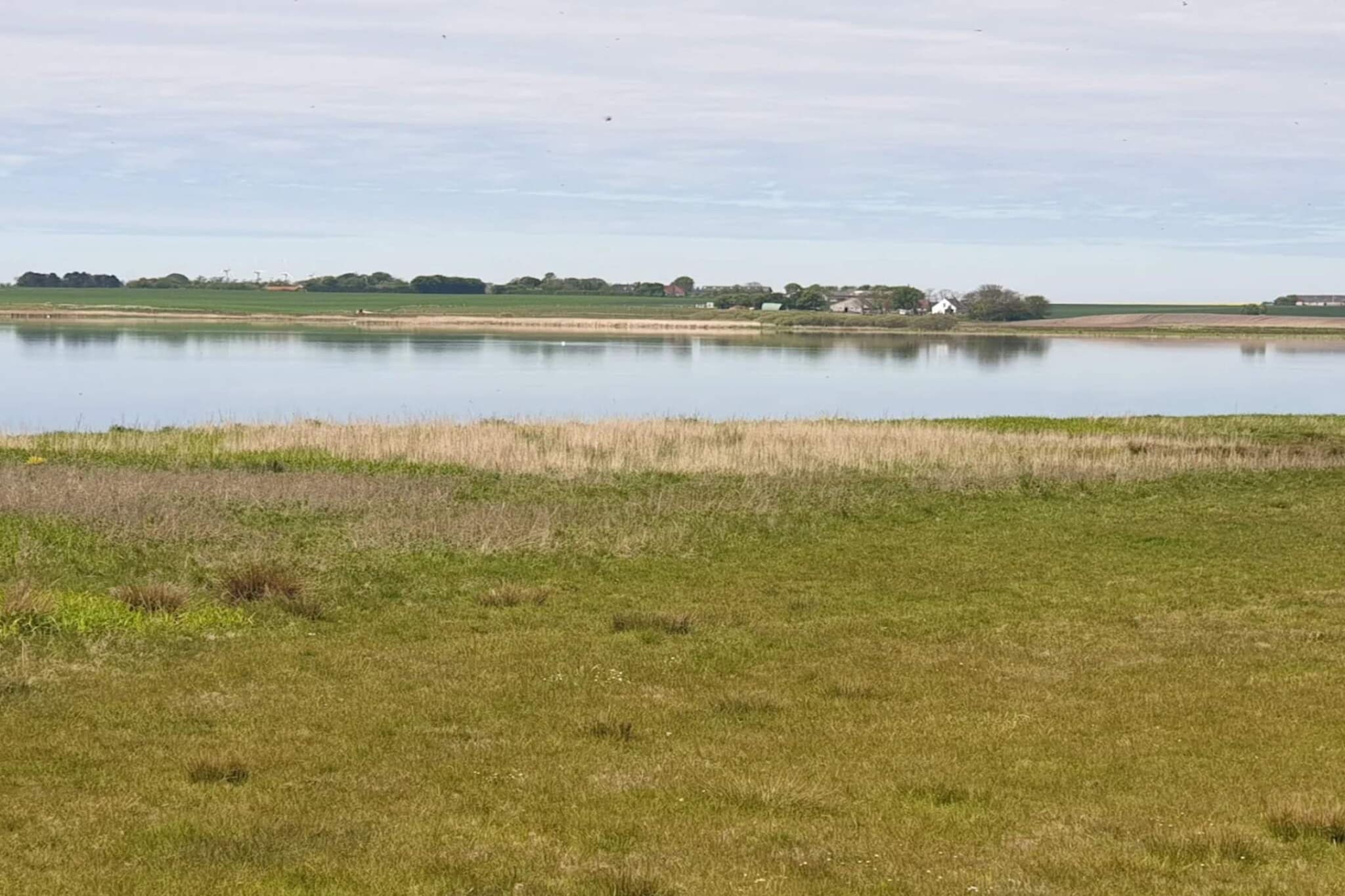 8 Personen Ferienhaus in Løgstør-By Traum - Wasserblick