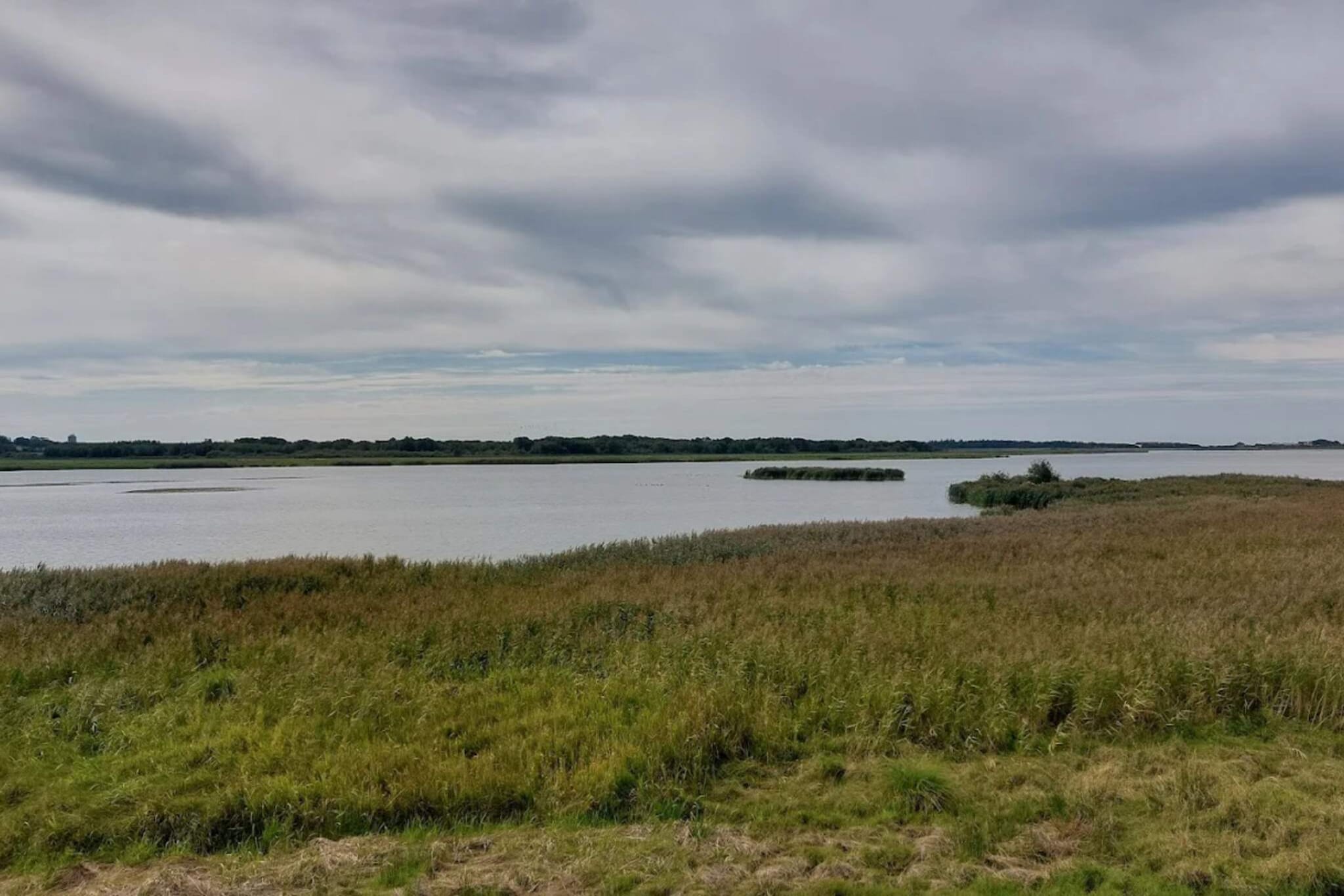 8 Personen Ferienhaus in Løgstør-By Traum - Wasserblick