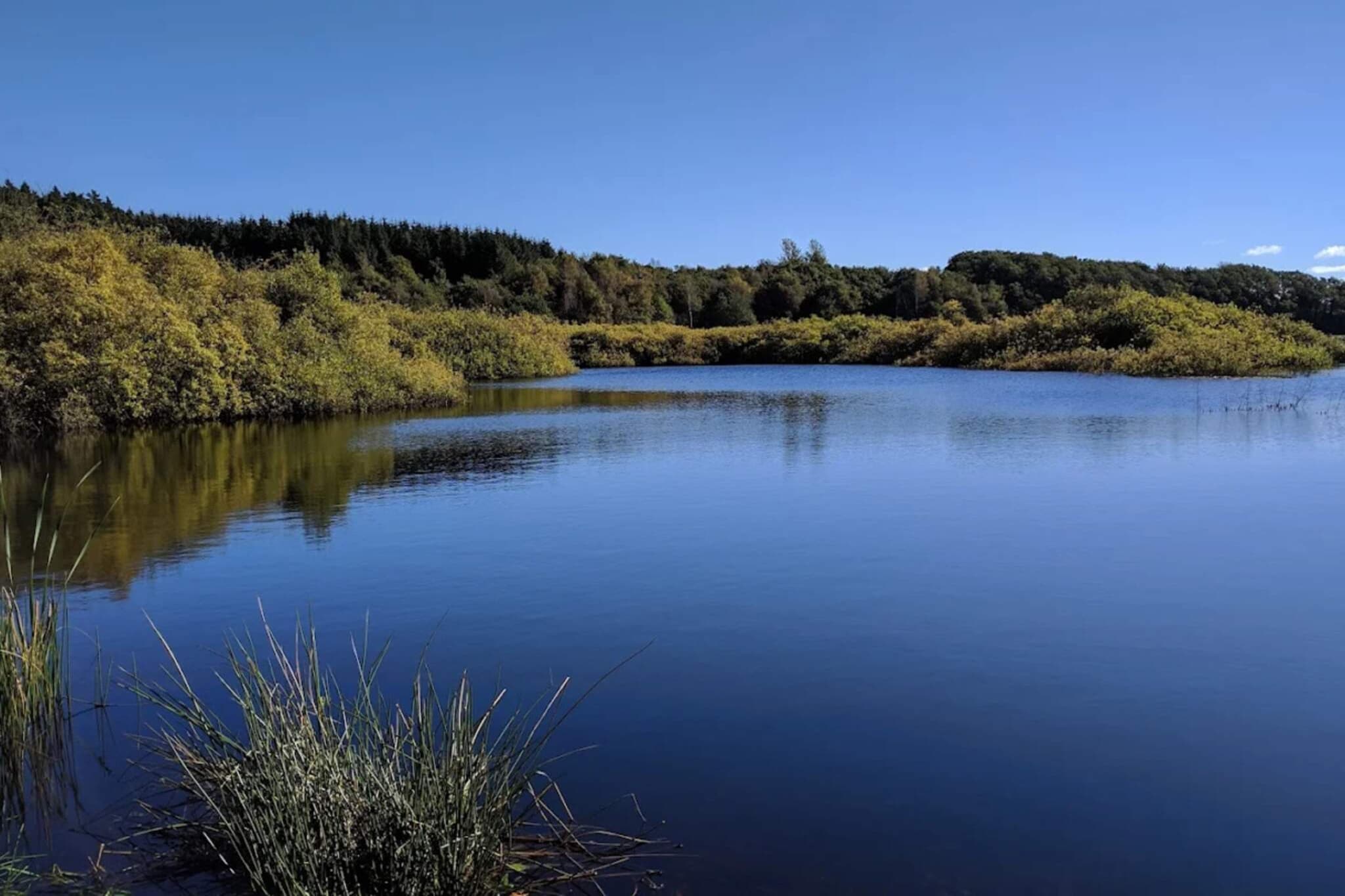 8 Personen Ferienhaus in Løgstør-By Traum - Wasserblick
