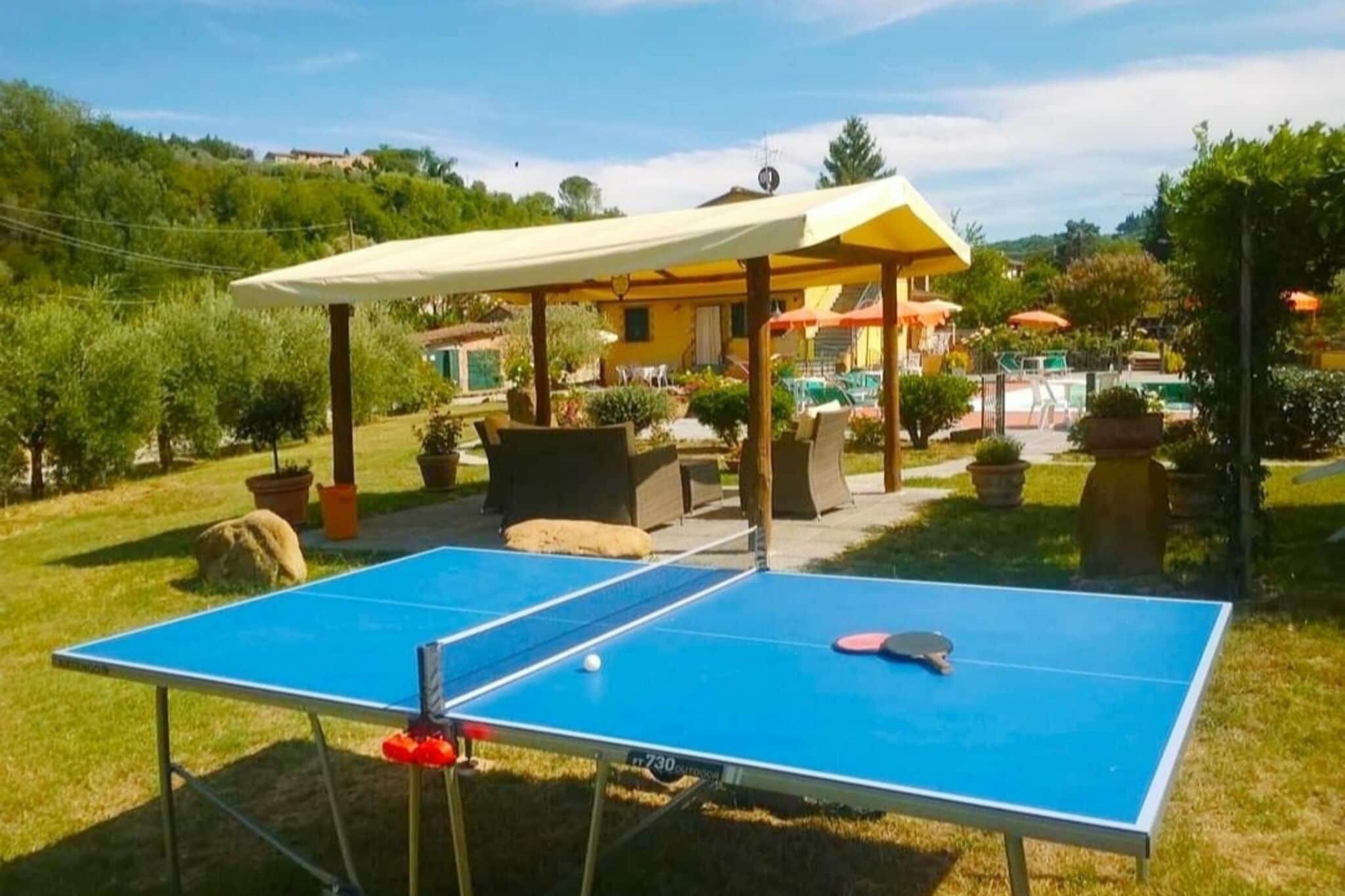 Geweldig appartement in Montaione met gedeeld zwembad