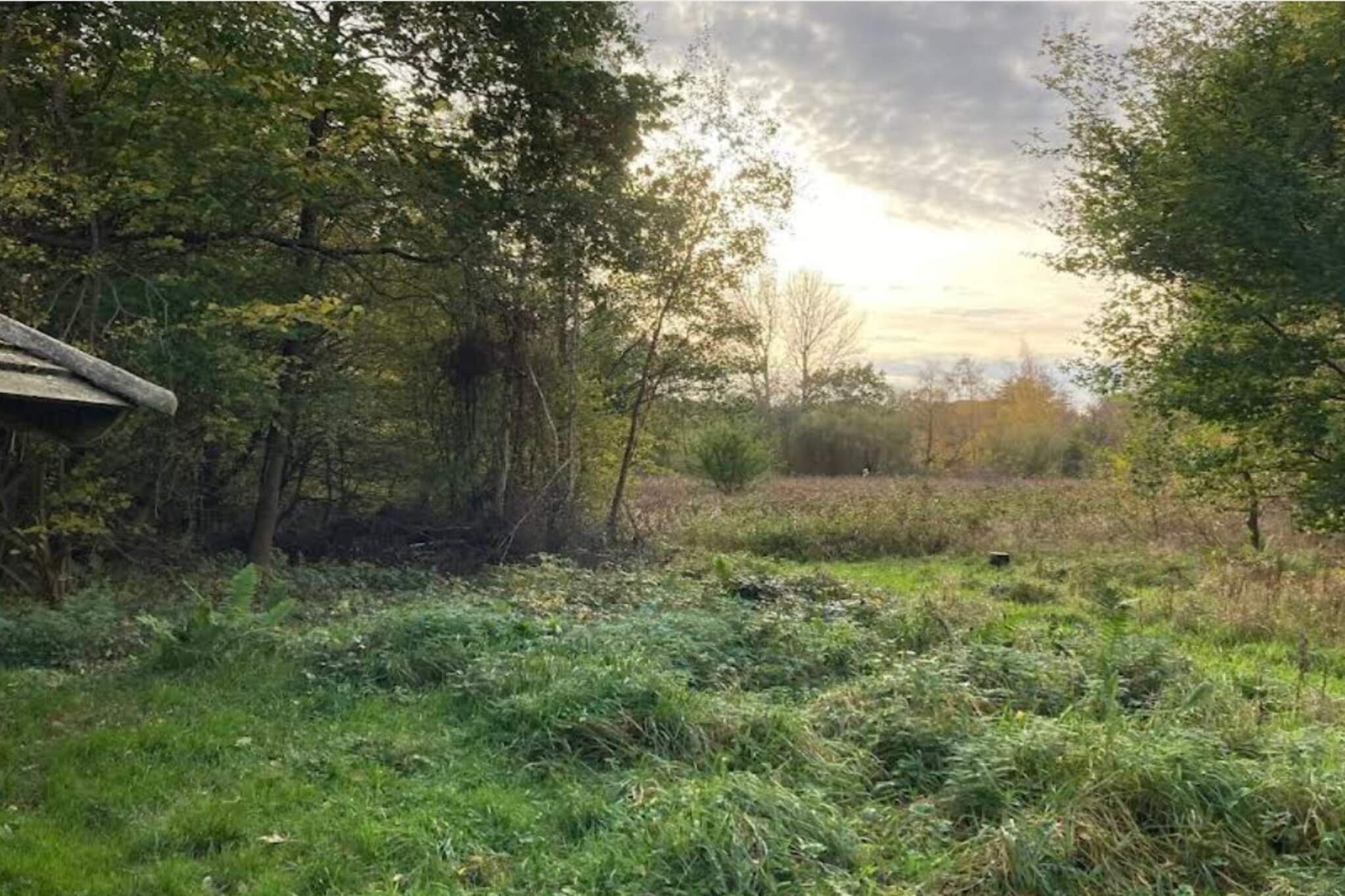 4 persoons vakantie huis in Faxe Ladeplads