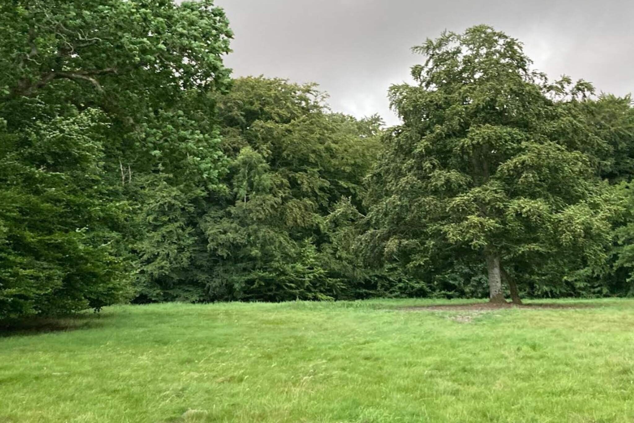 4 persoons vakantie huis in Faxe Ladeplads-Niet-getagd