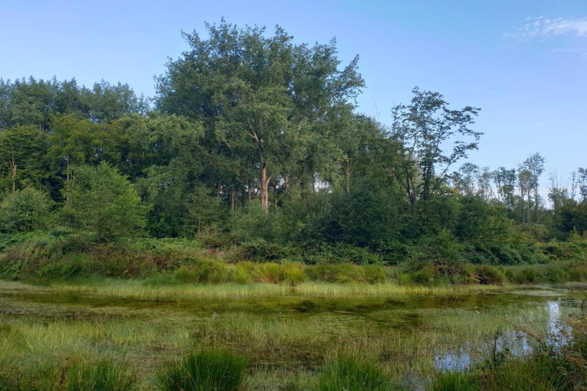 Resort Bad Hulckesteijn 8-Gebieden zomer 5km
