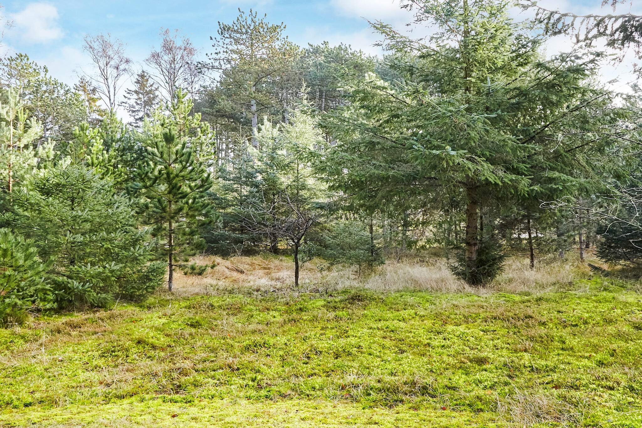 4 Personen Ferienhaus in Store Fuglede-By Traum - Nicht zugeordnet