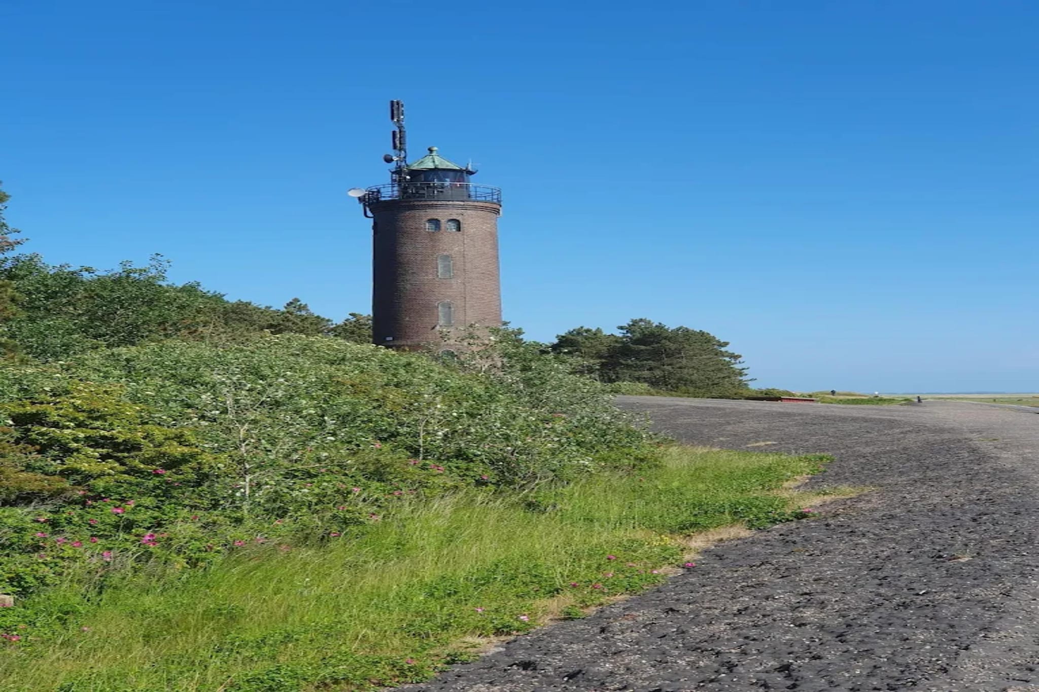 Ferienwohnung Salzwiesen St Peter-Ording-Gebieden zomer 5km