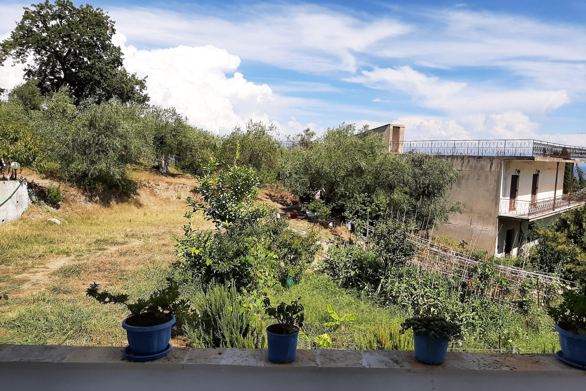 View Summer