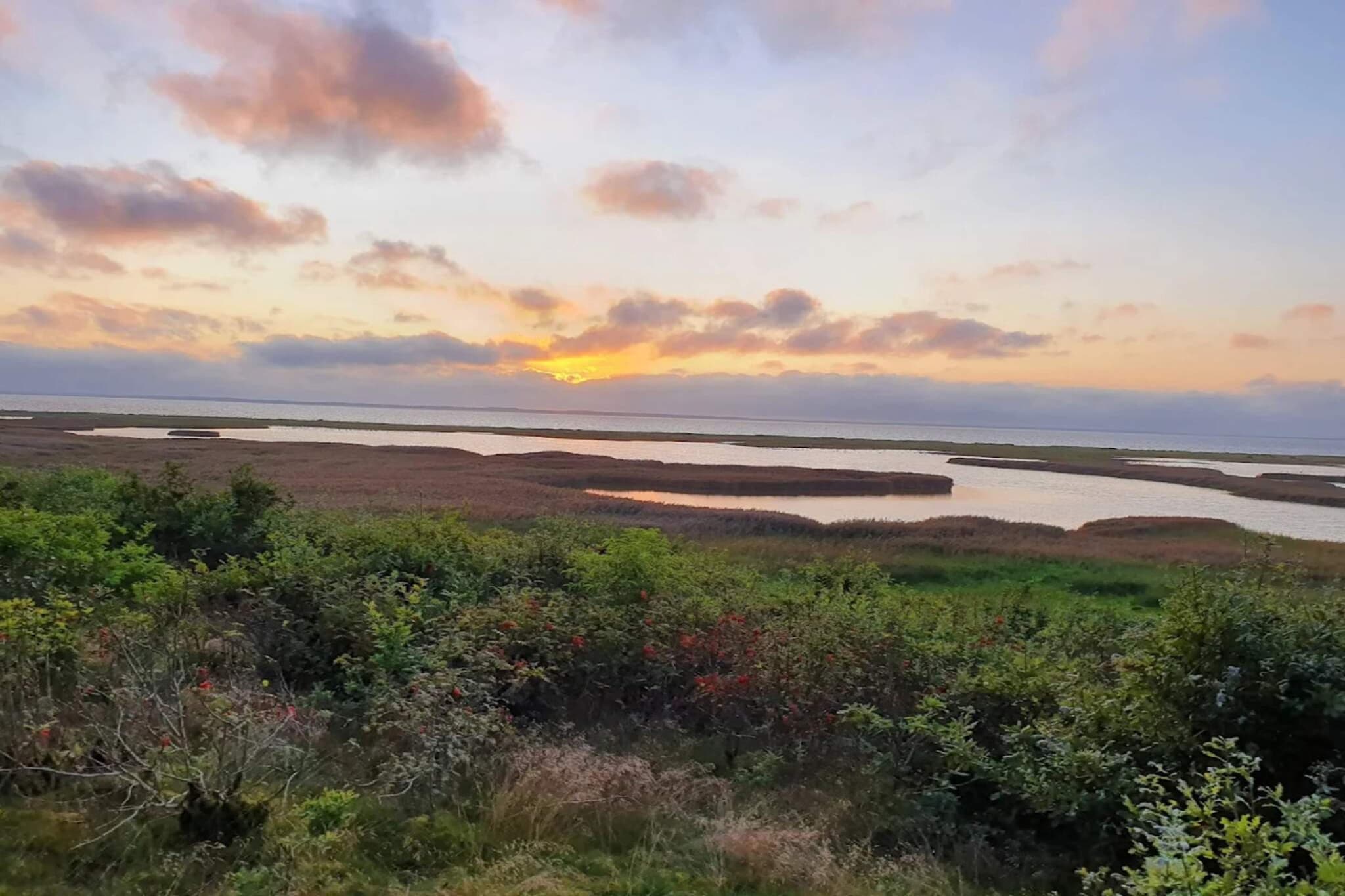 6 persoons vakantie huis in Vinderup-By Traum - Waterzicht