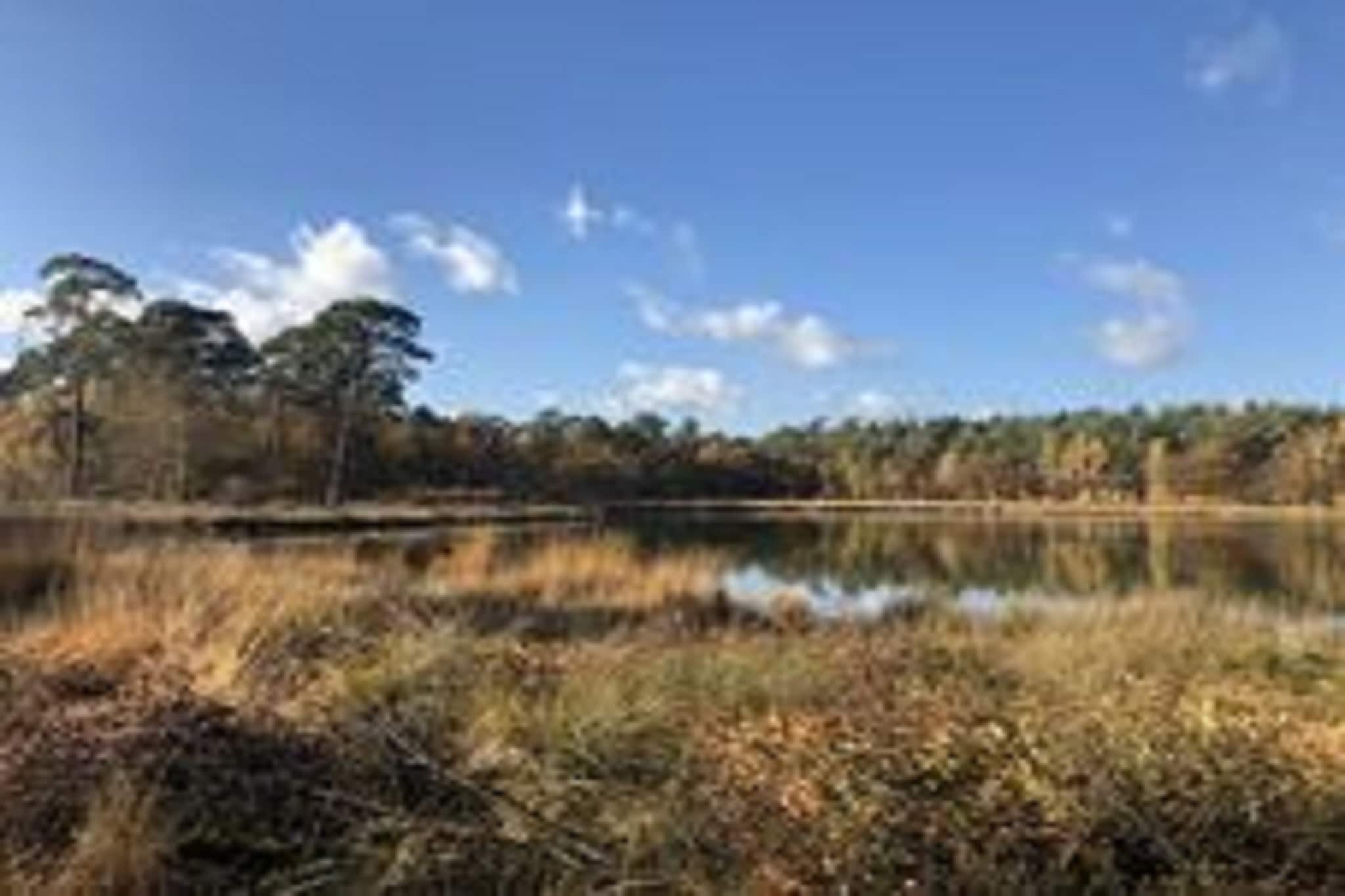 Boerderij Dwingelderveld-Gebieden zomer 5km