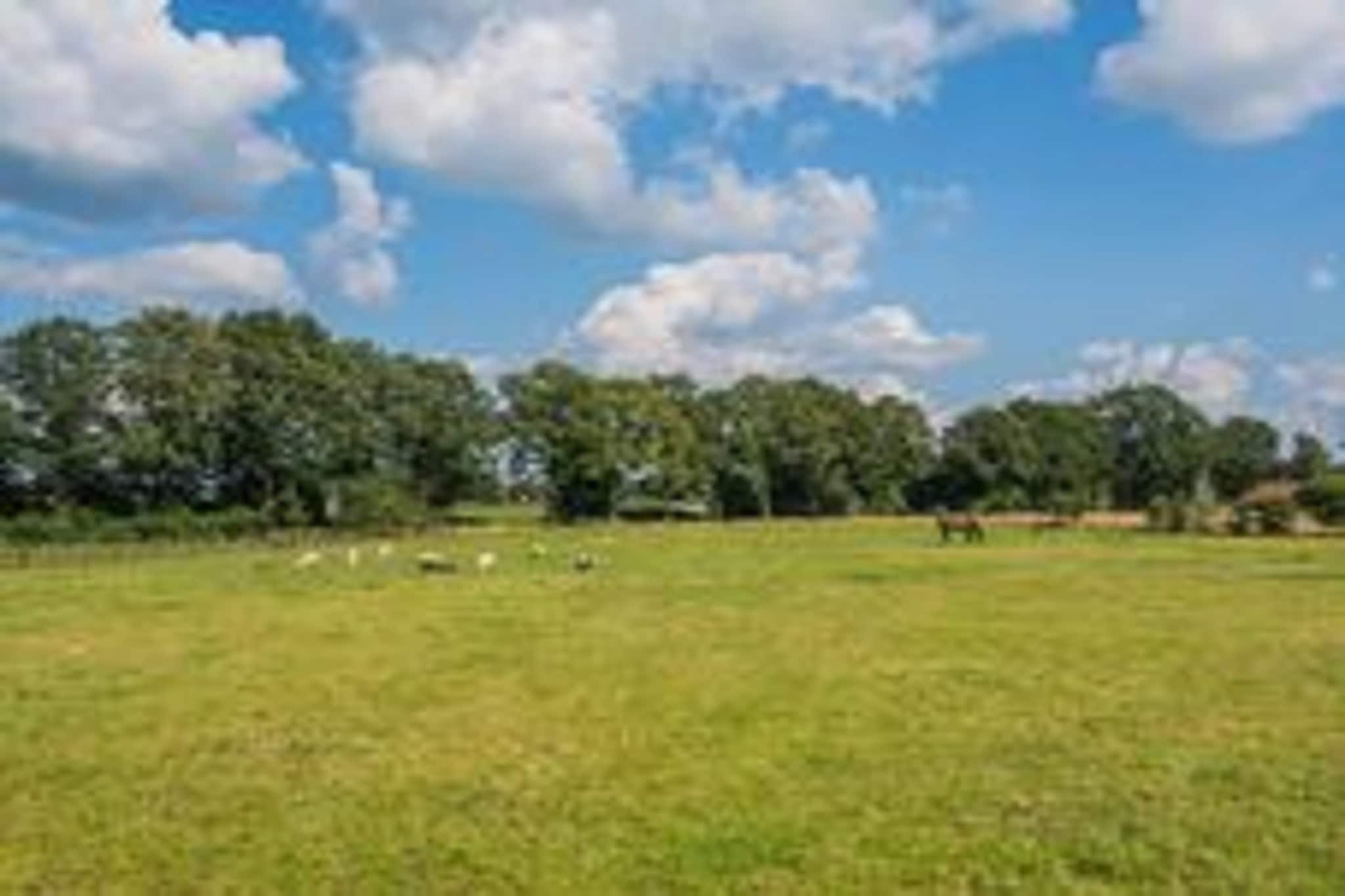 Boerderij Dwingelderveld-Areas summer 5km