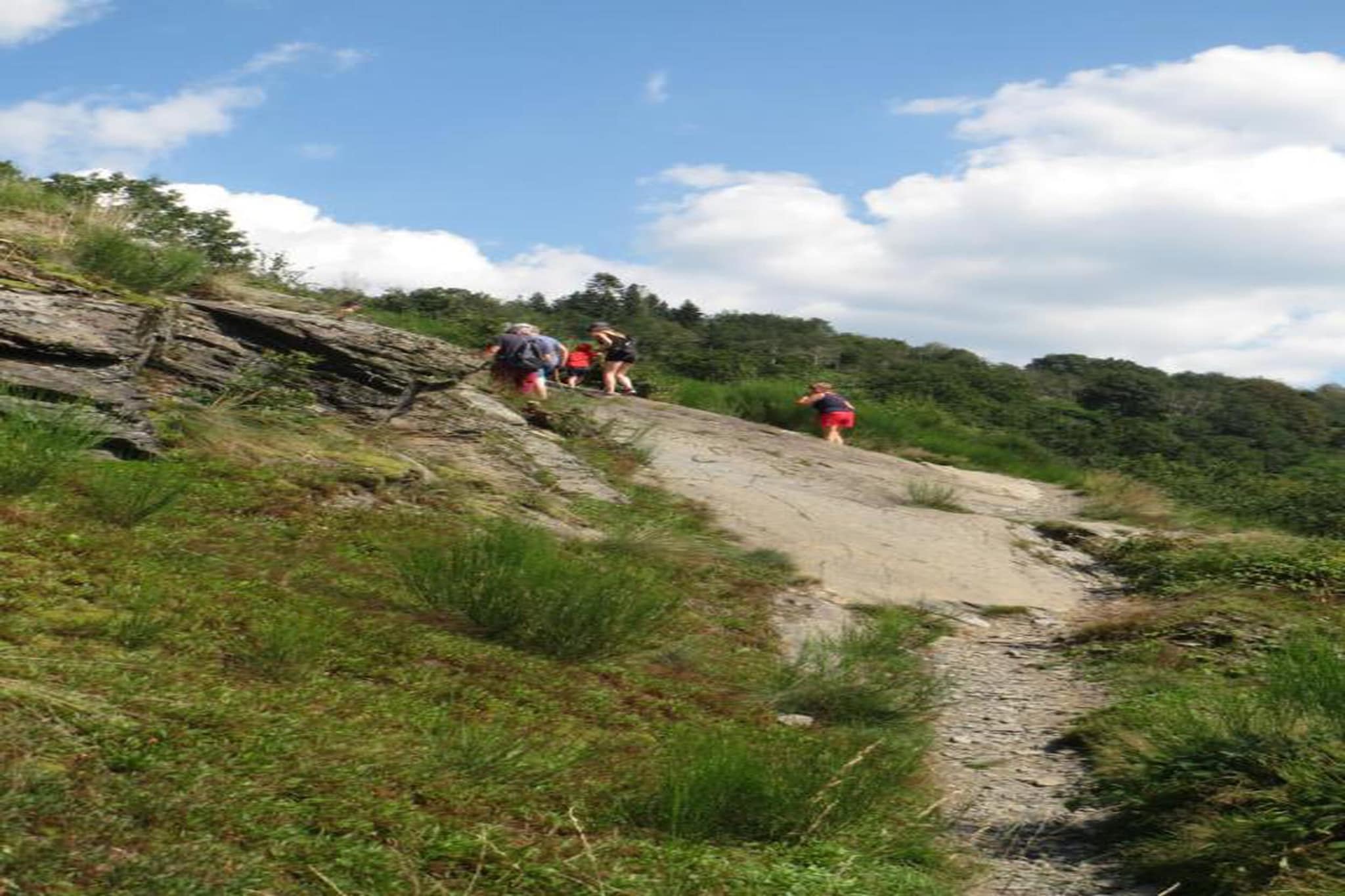 Symon Lodge-Gebieden zomer 20km