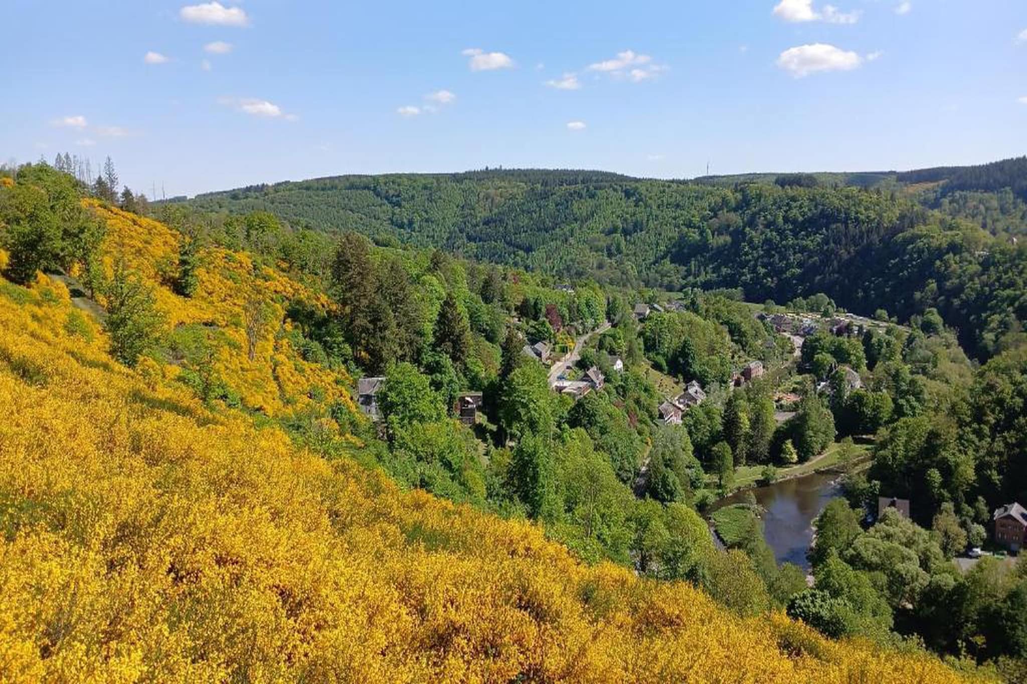 Symon Lodge-Gebieden zomer 20km