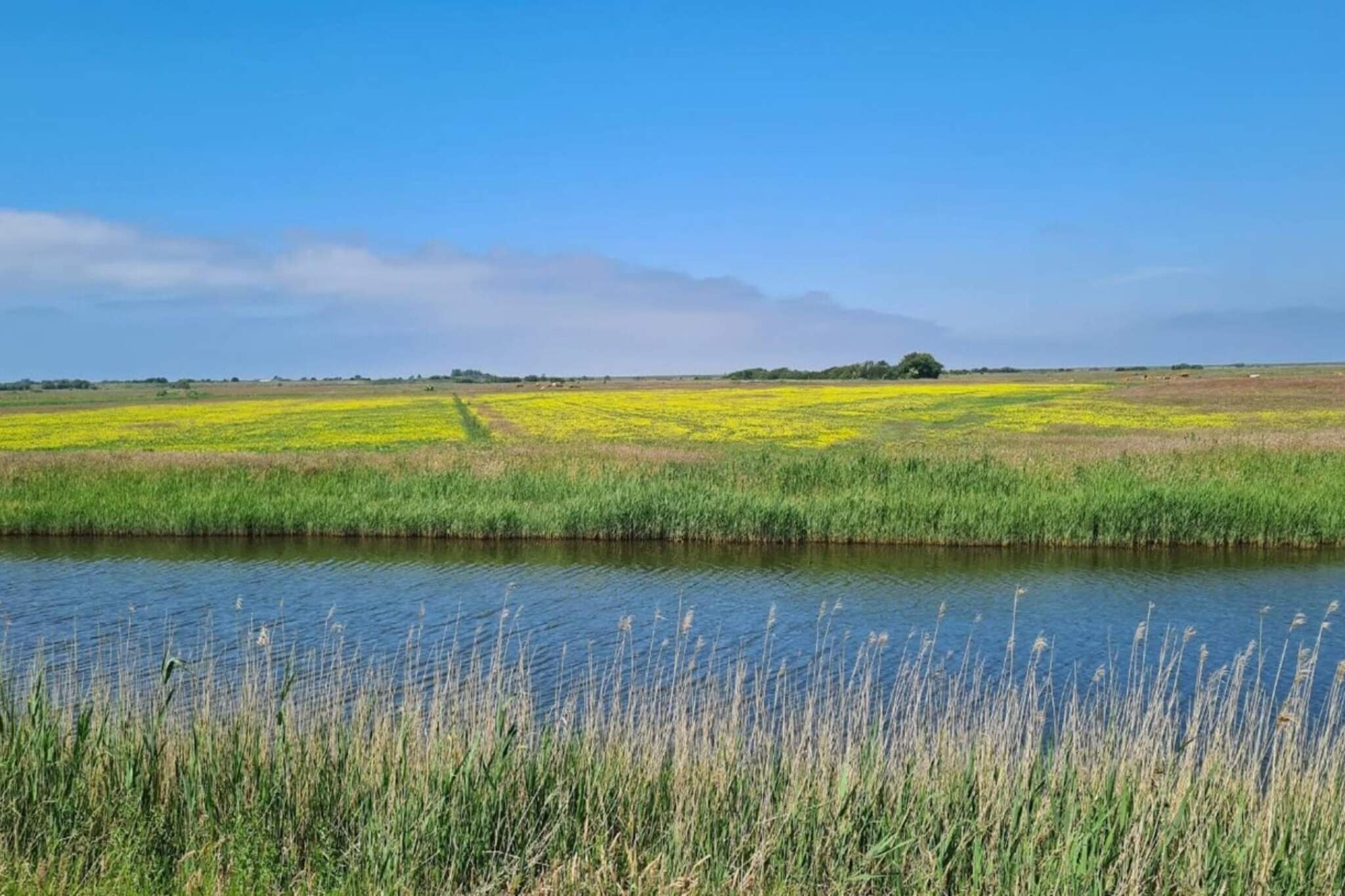 6 persoons vakantie huis in Ribe-By Traum-Waterzicht